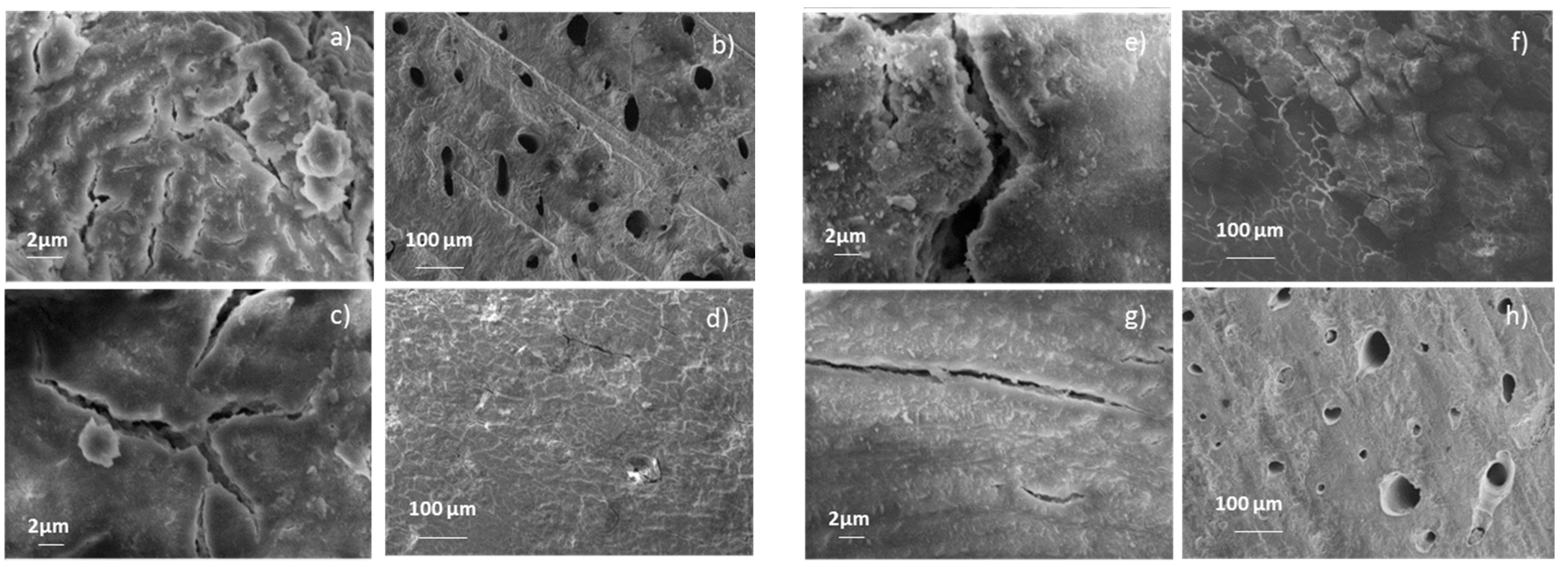 Coatings 10 00522 g001