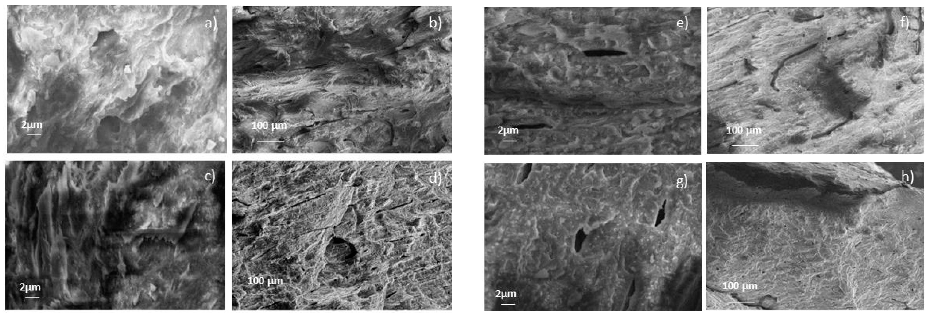 Coatings 10 00522 g004