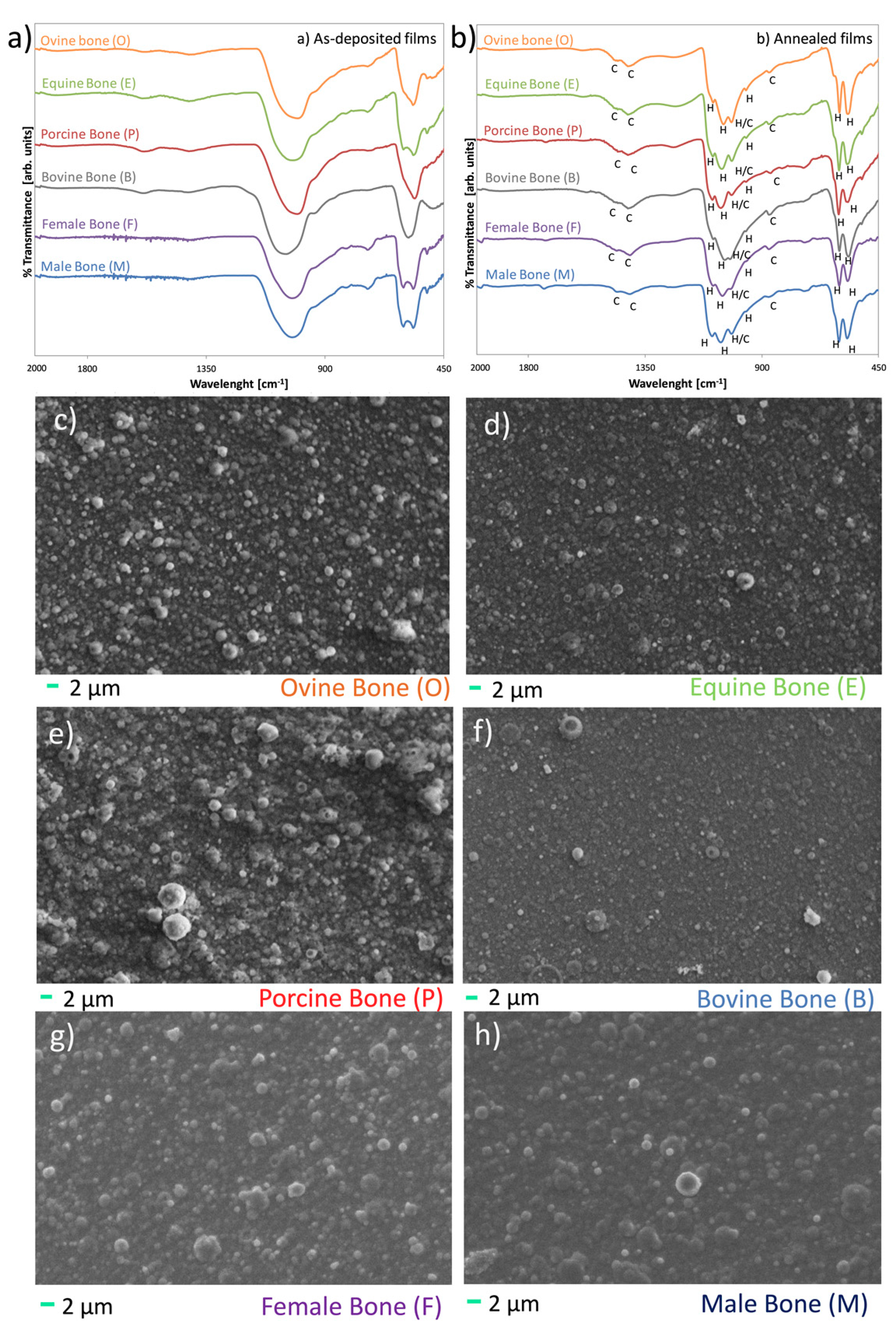 Coatings 10 00522 g006