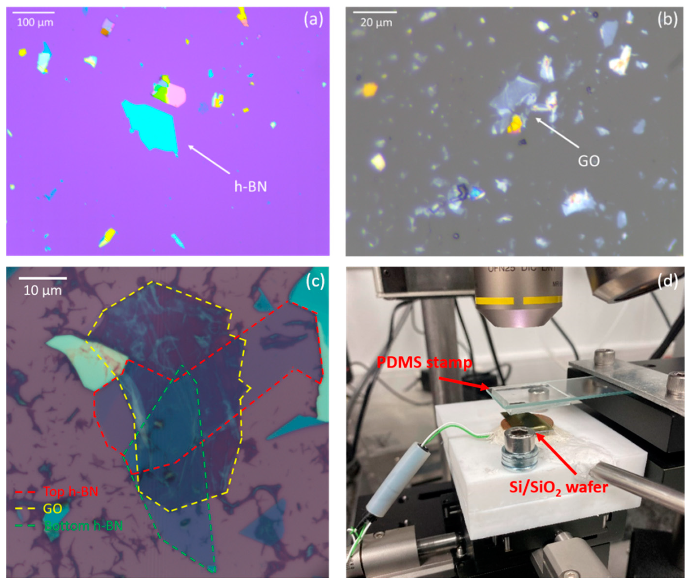 Coatings 10 00524 g002