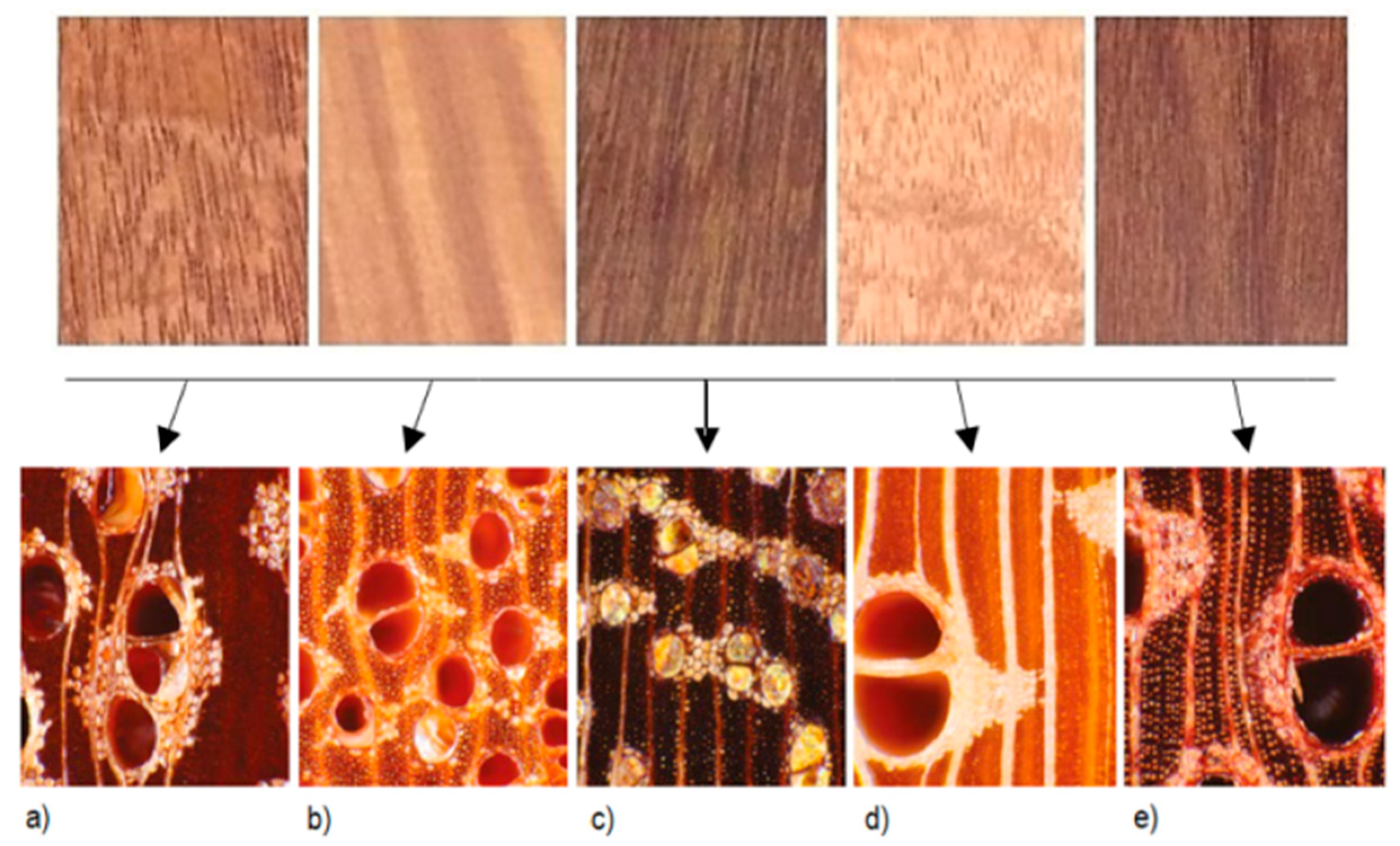Coatings 10 00527 g001