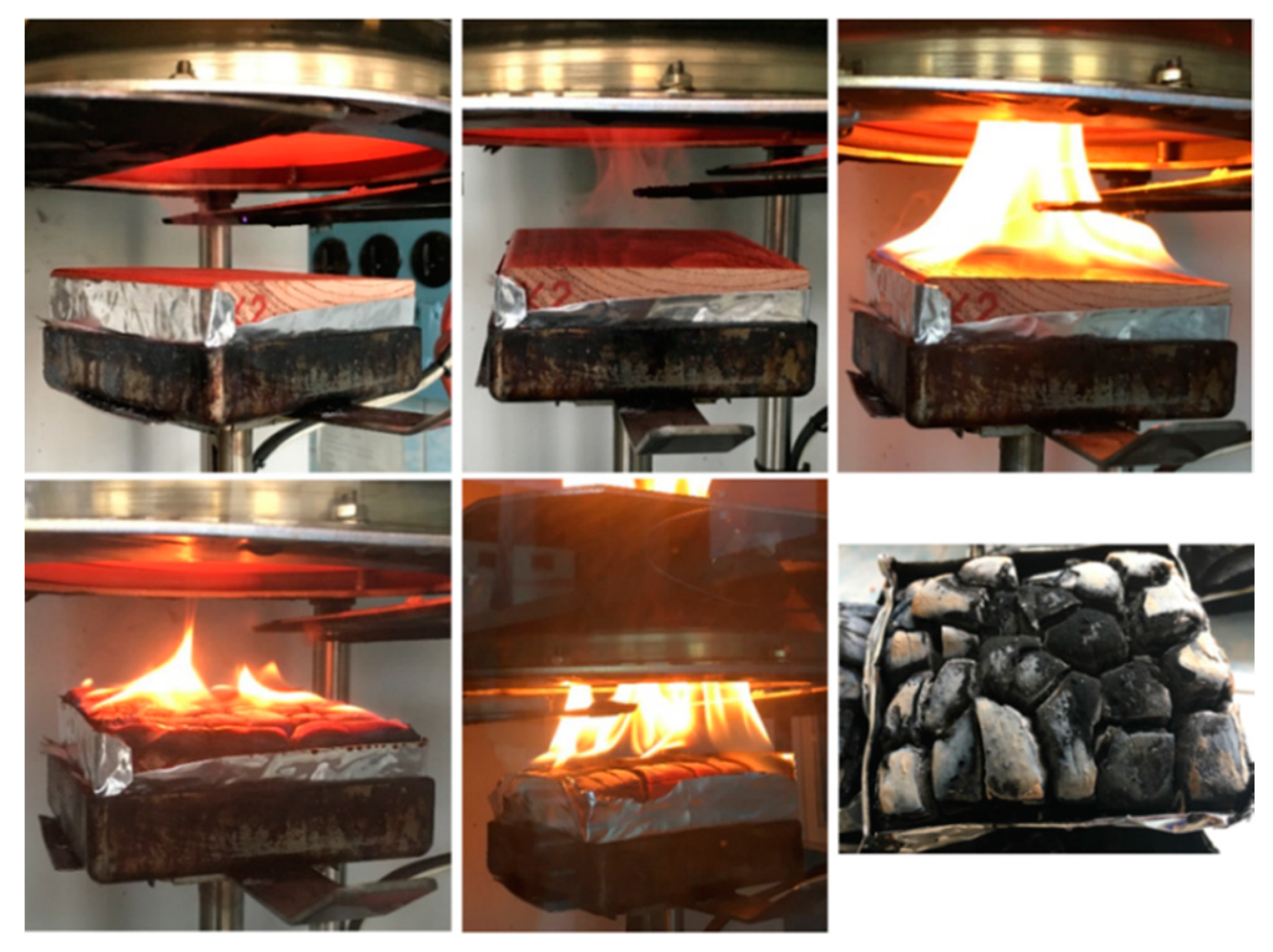 Coatings 10 00527 g003