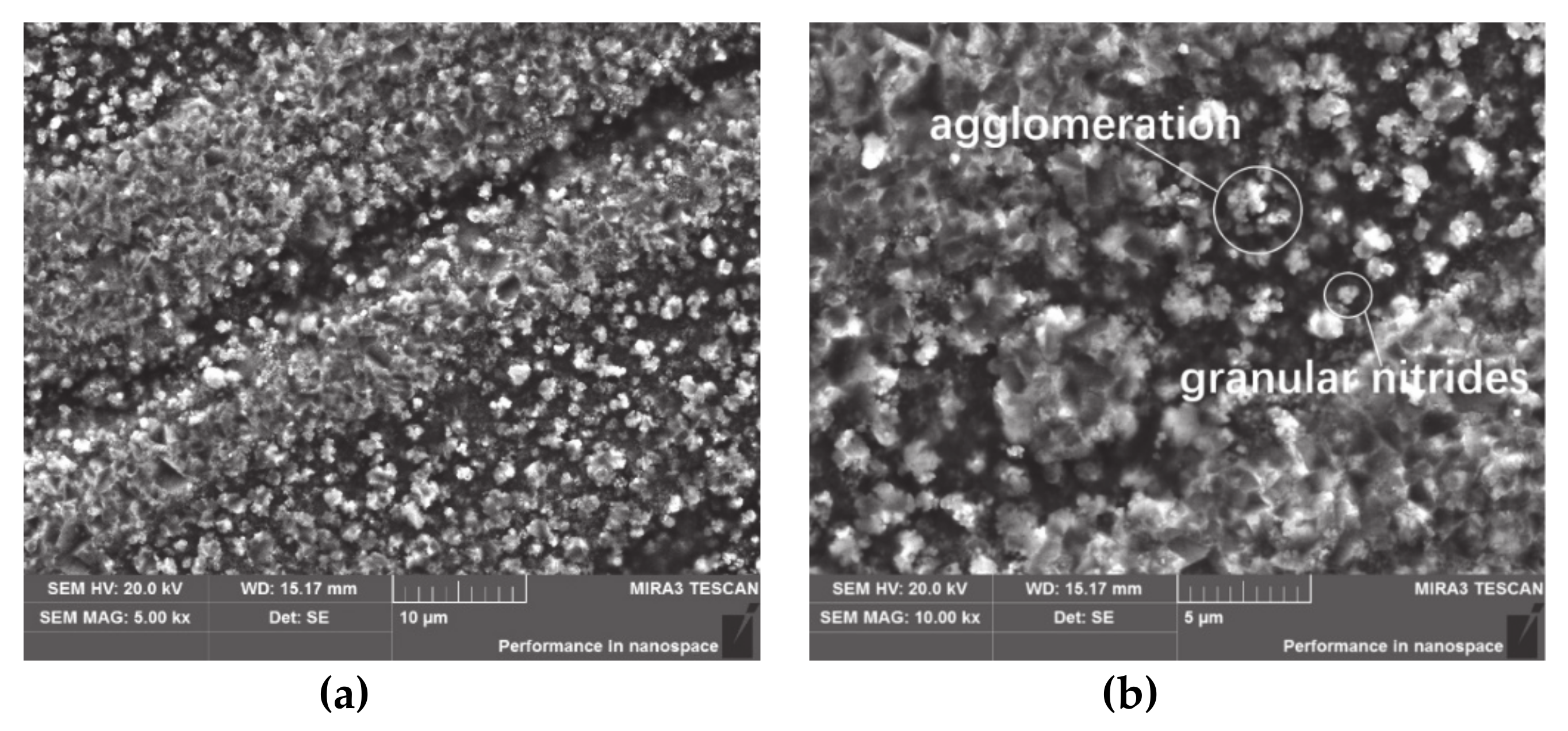 Coatings 10 00528 g003