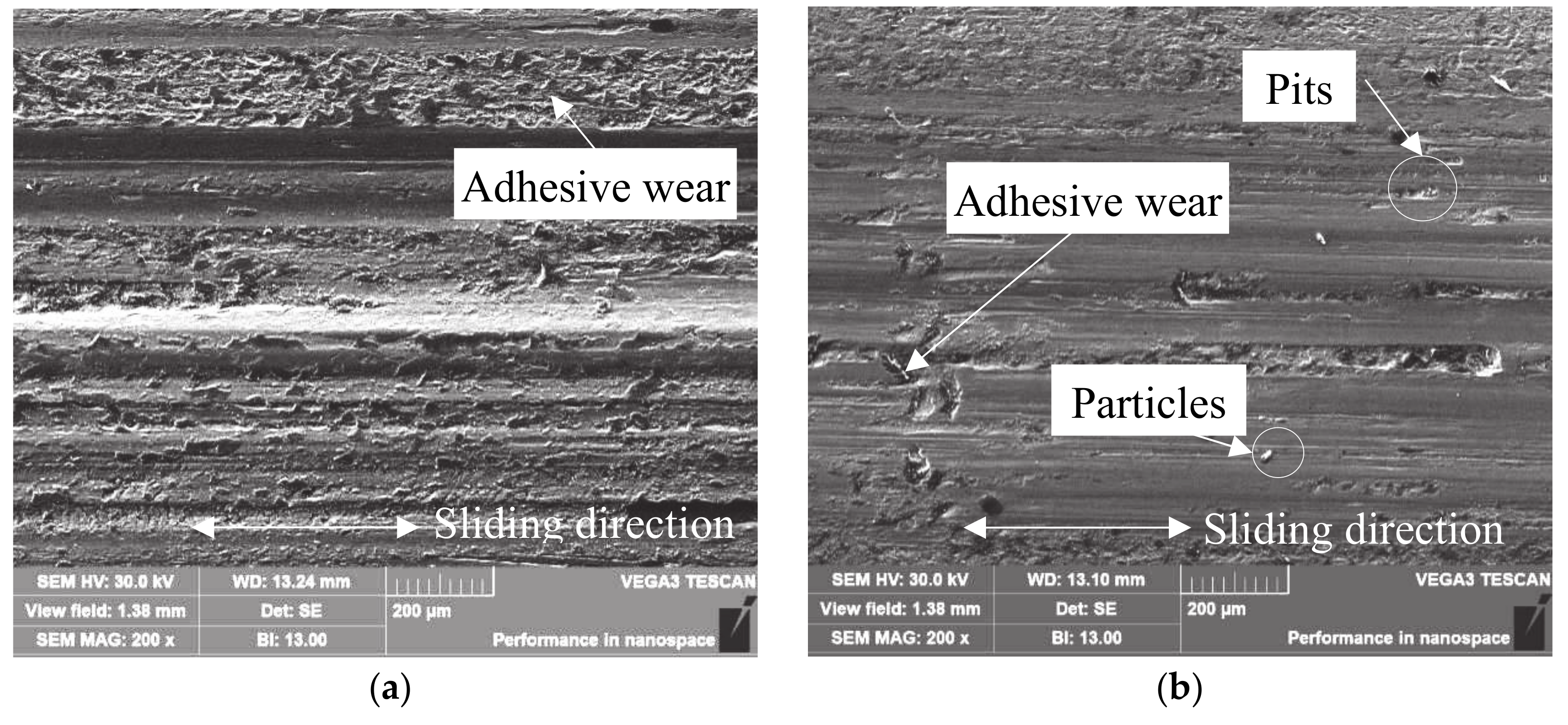 Coatings 10 00528 g007a