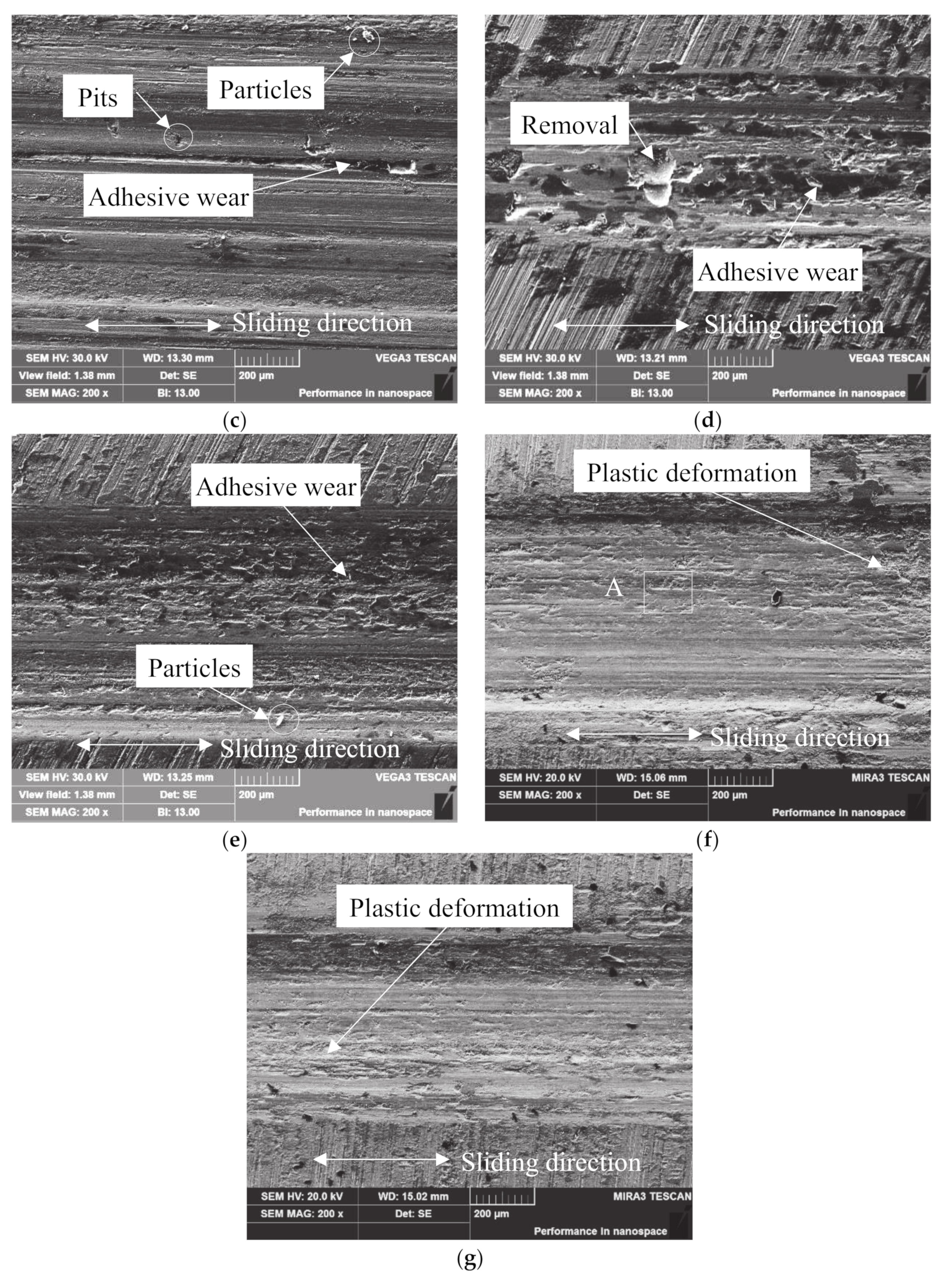 Coatings 10 00528 g007b
