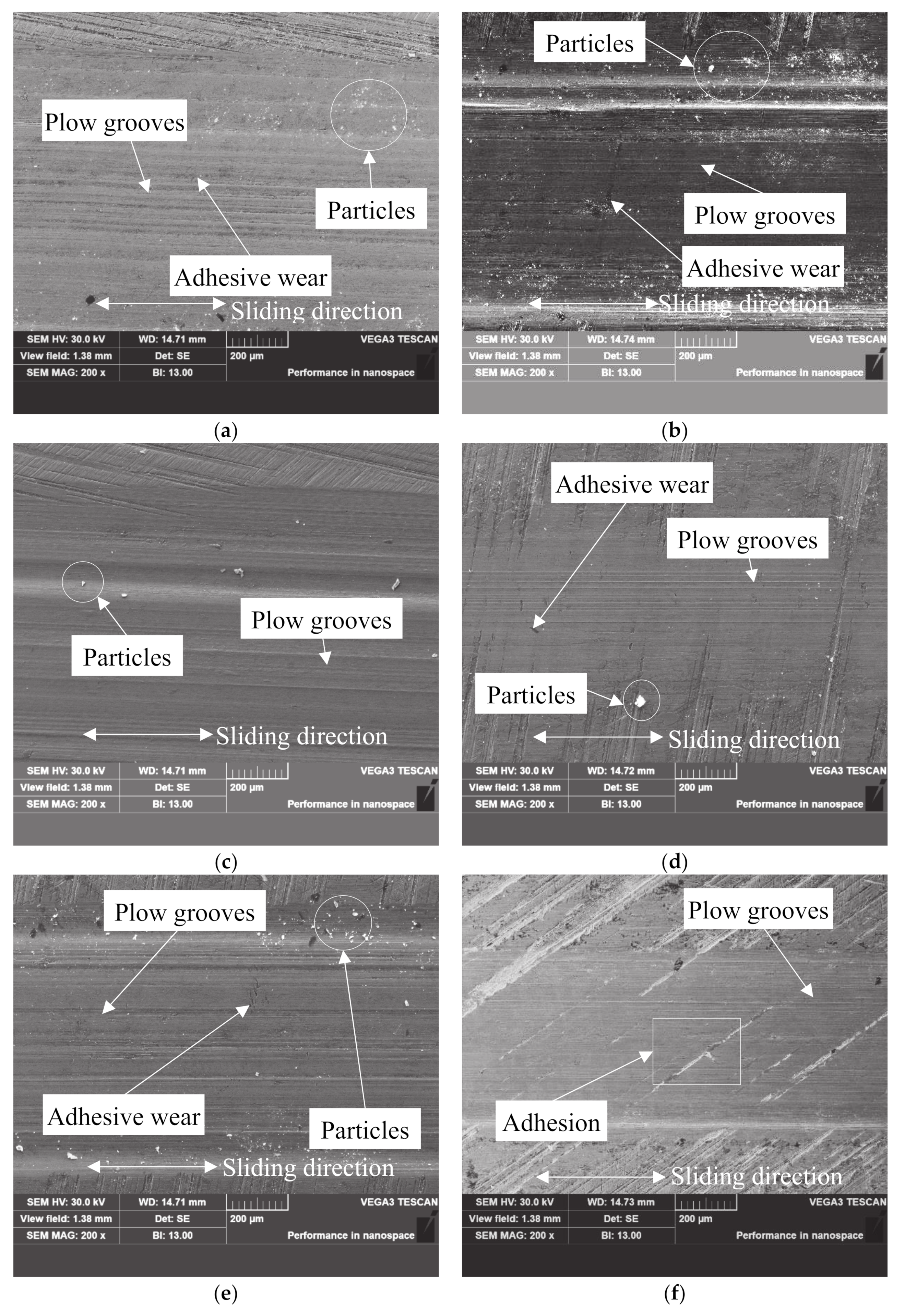 Coatings 10 00528 g008a