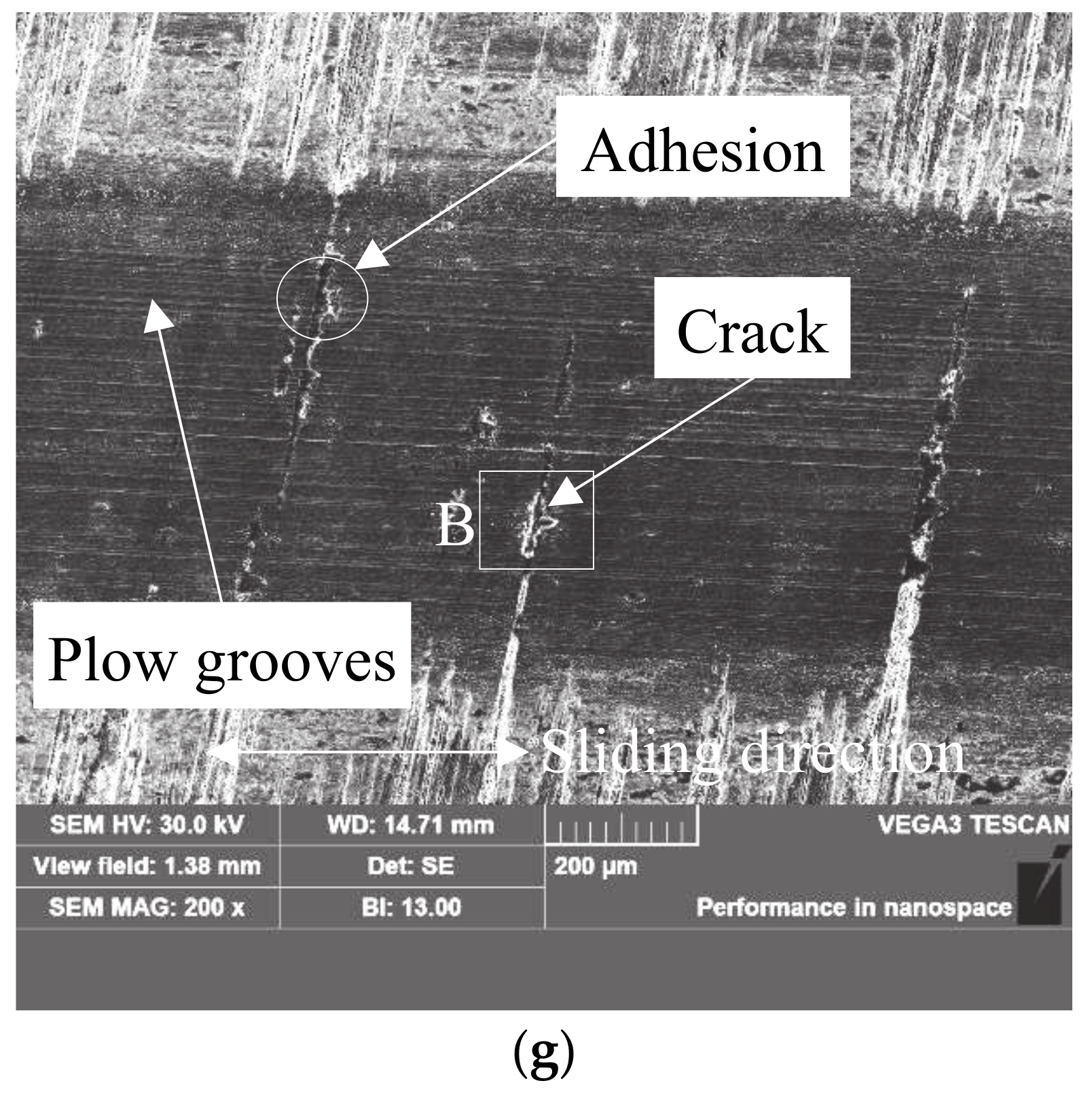 Coatings 10 00528 g008b