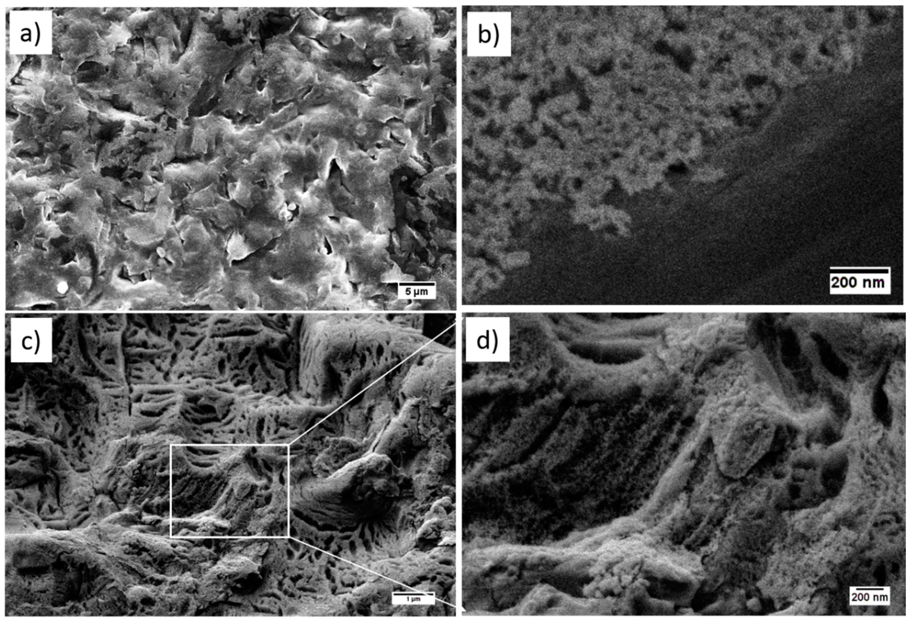 Coatings 10 00529 g003