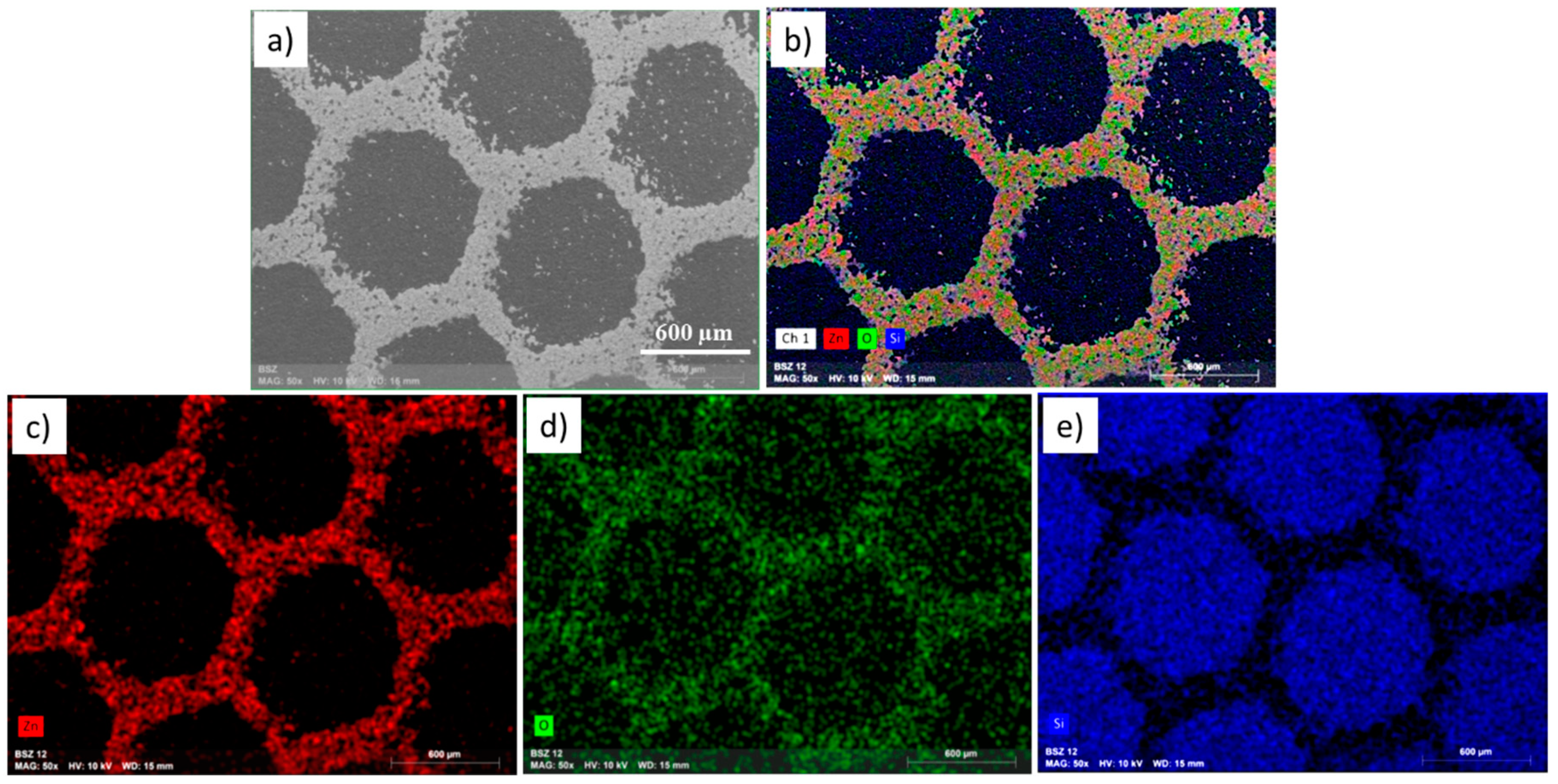 Coatings 10 00529 g004