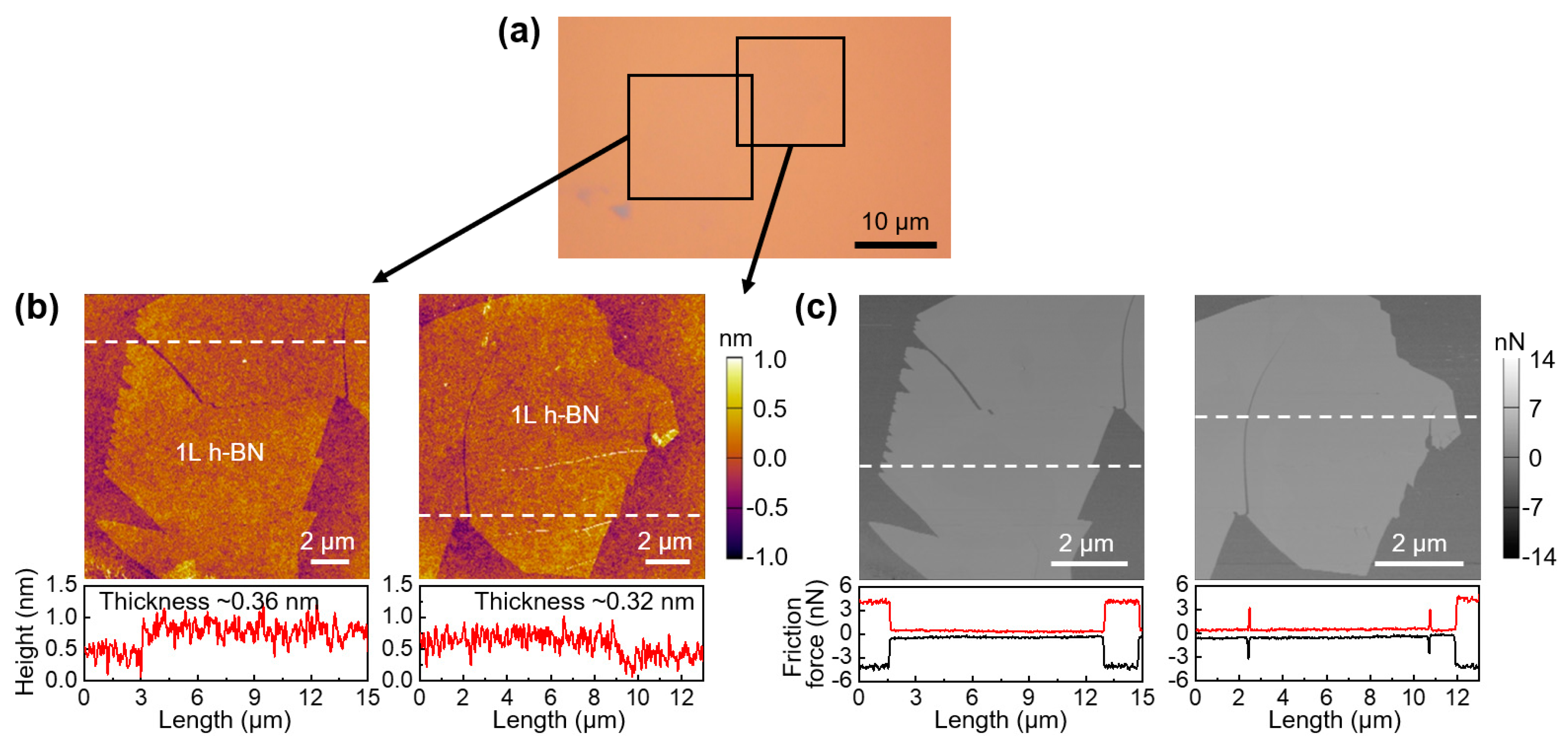 Coatings 10 00530 g001
