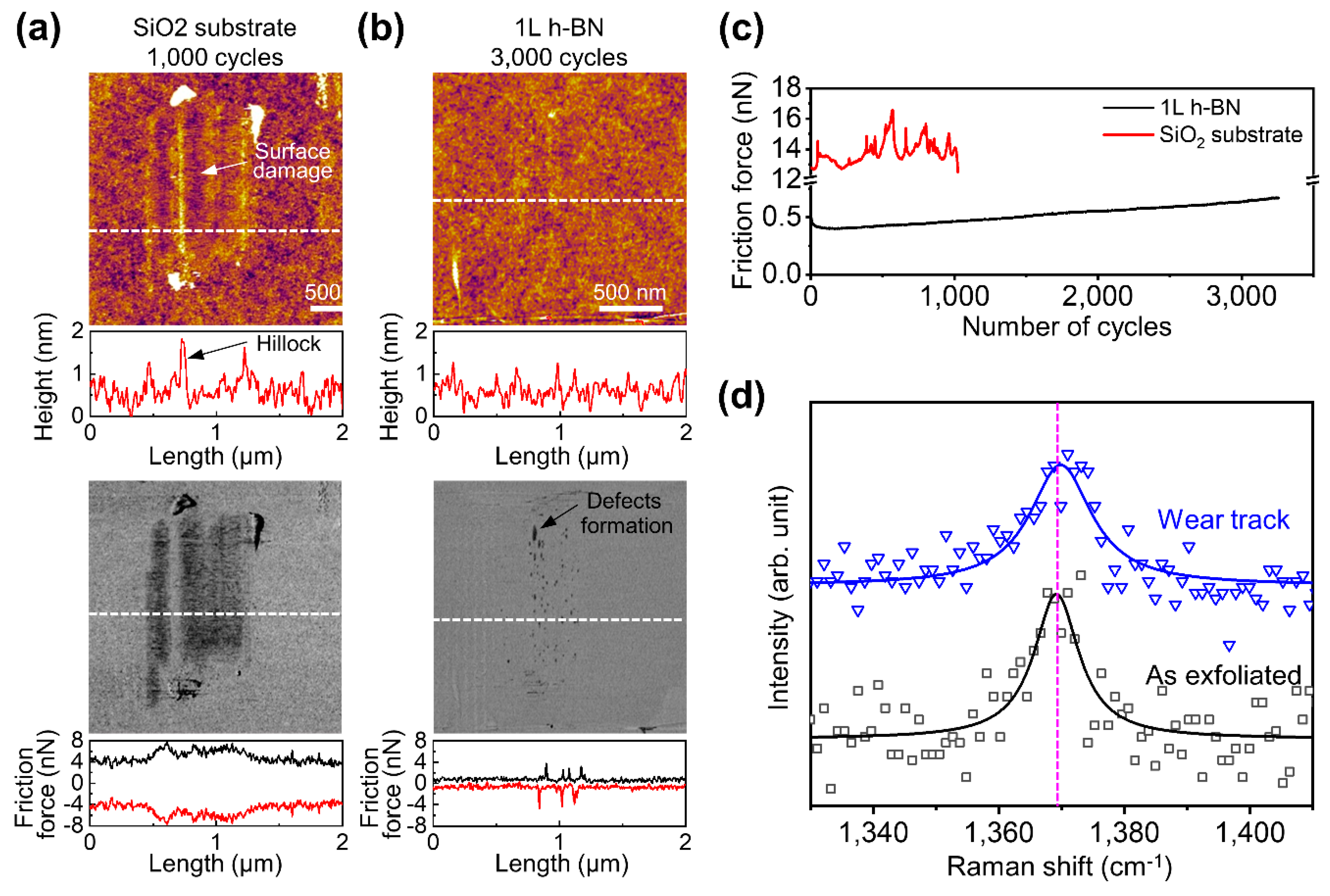 Coatings 10 00530 g004