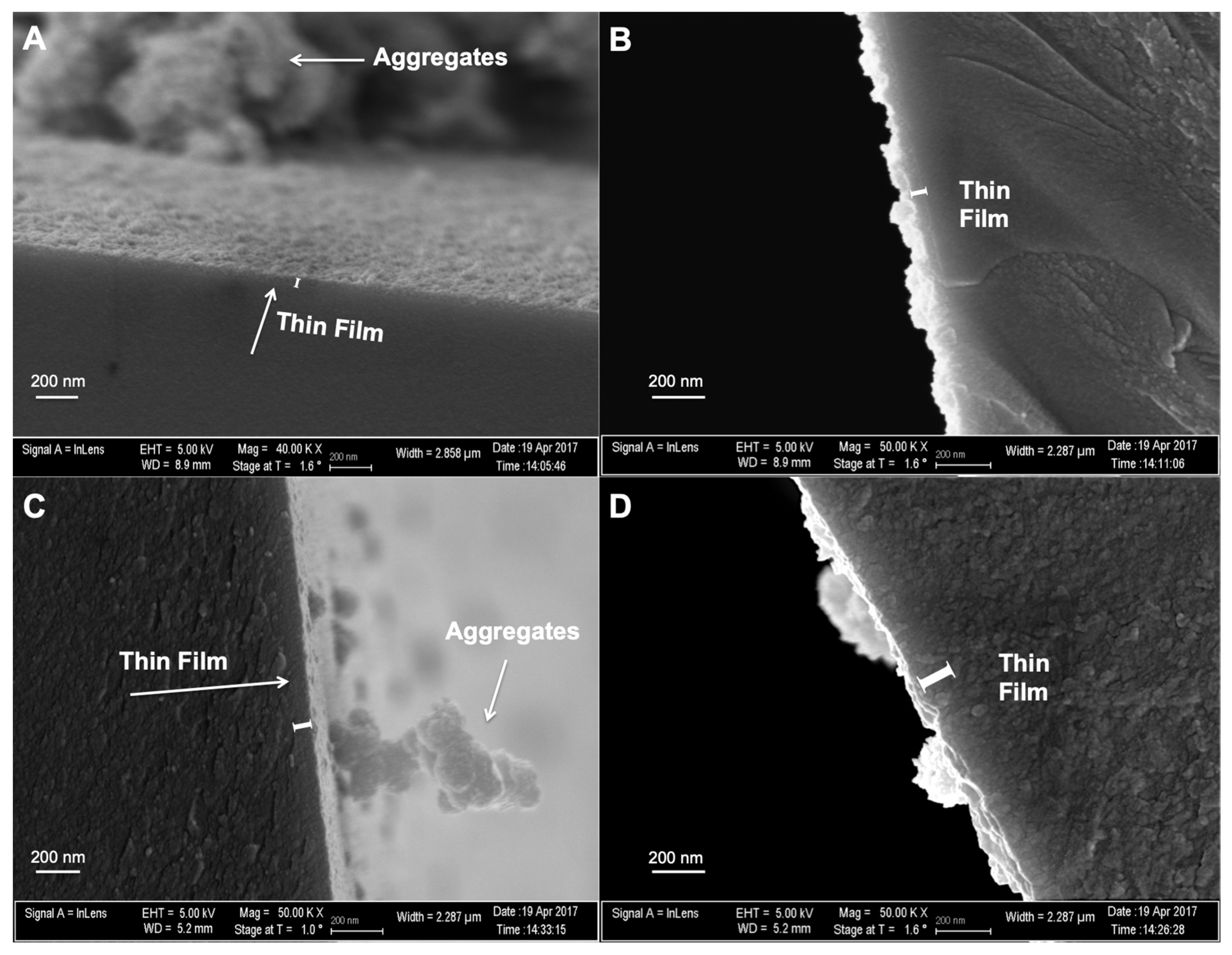 Coatings 10 00532 g004