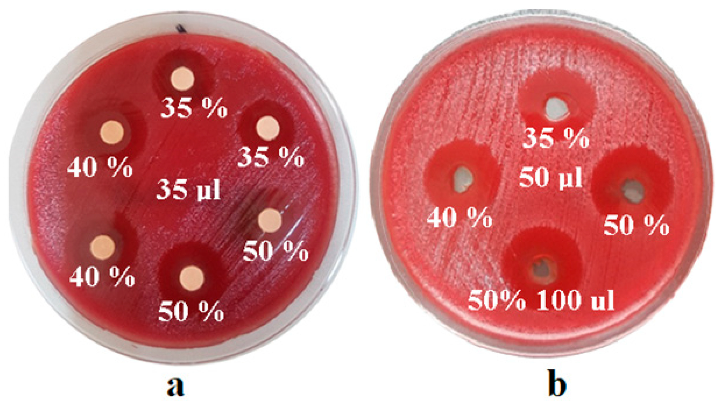 Coatings 10 00537 g001