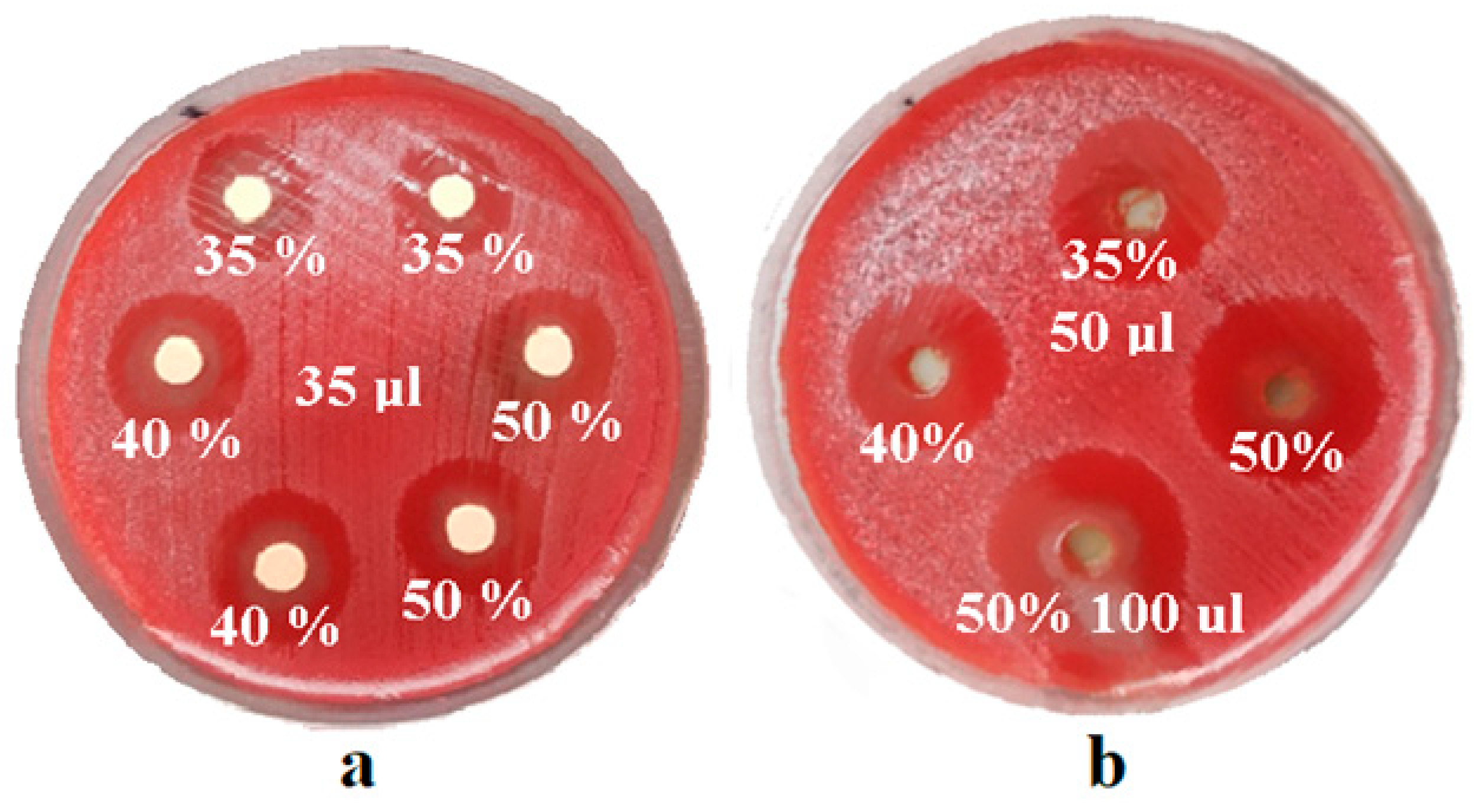 Coatings 10 00537 g002