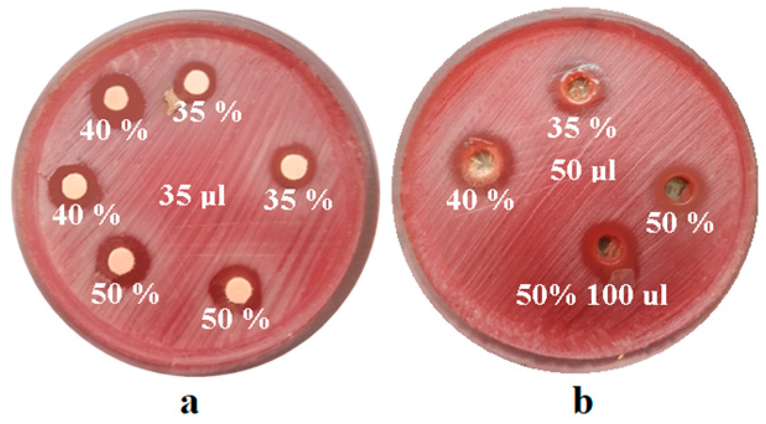 Coatings 10 00537 g003