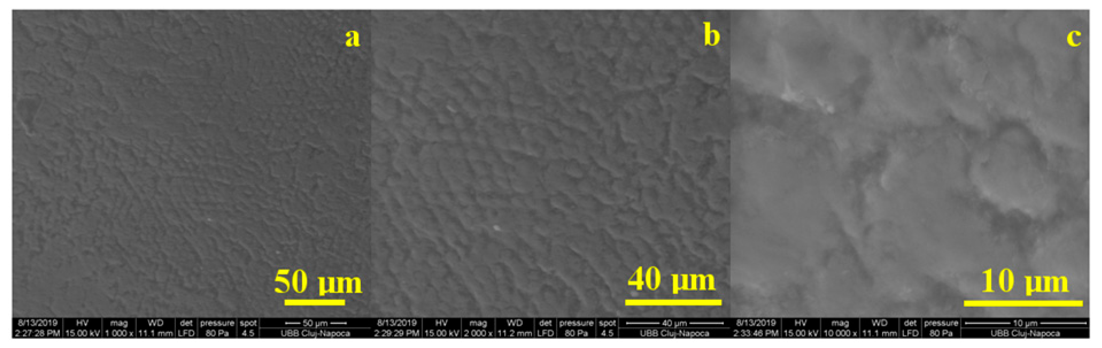 Coatings 10 00537 g010