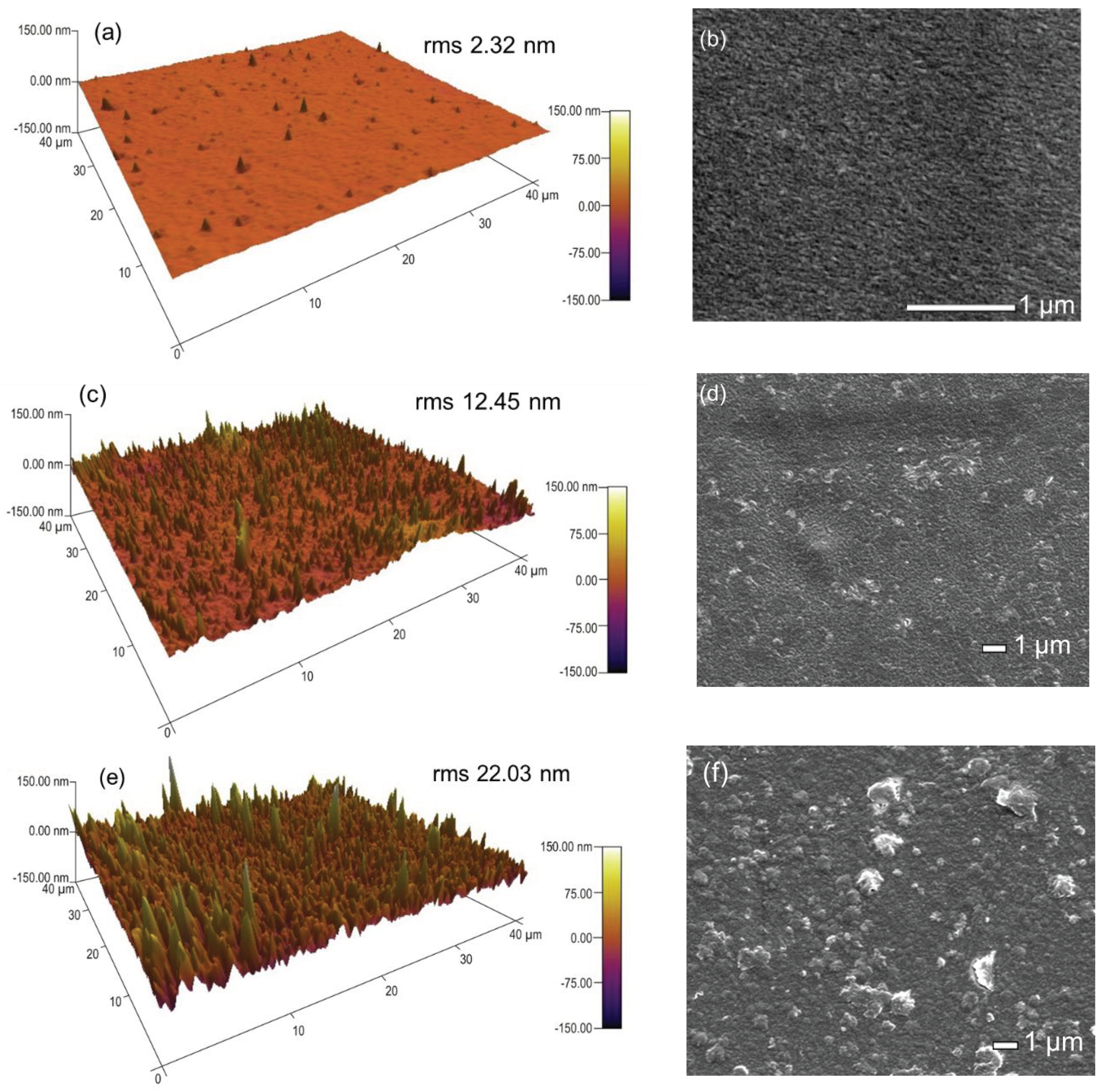 Coatings 10 00539 g001