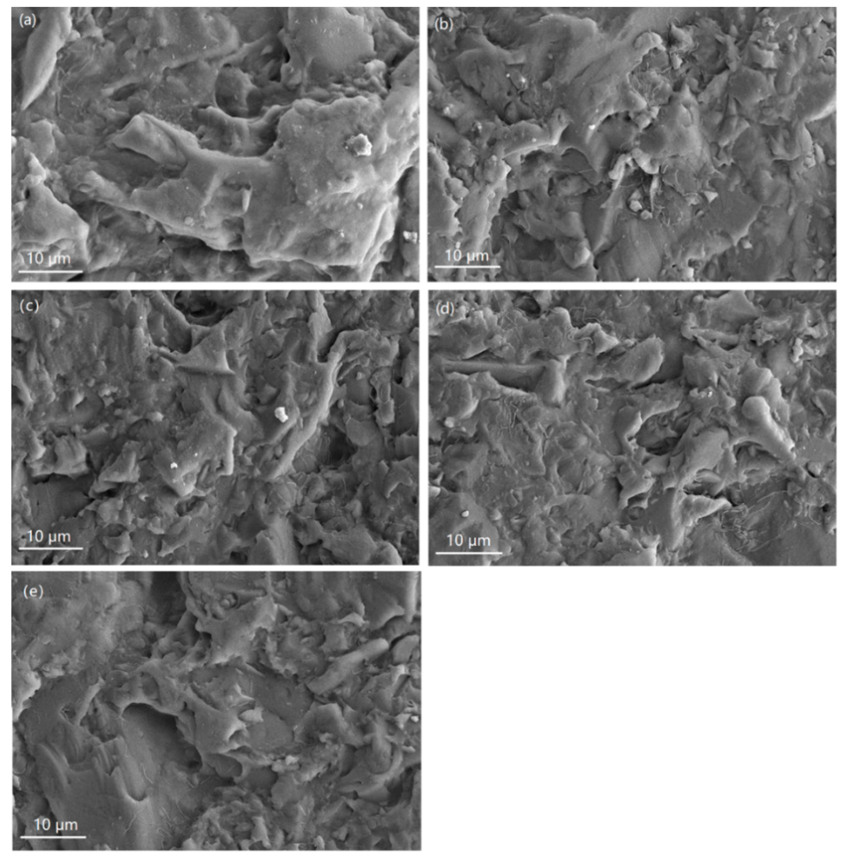 Coatings 10 00545 g001