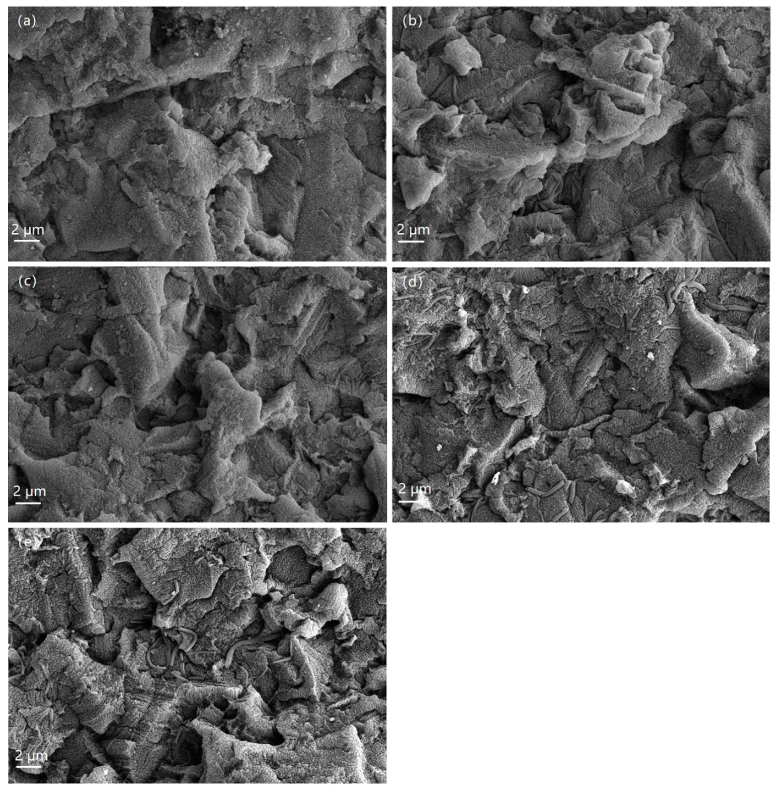 Coatings 10 00545 g002
