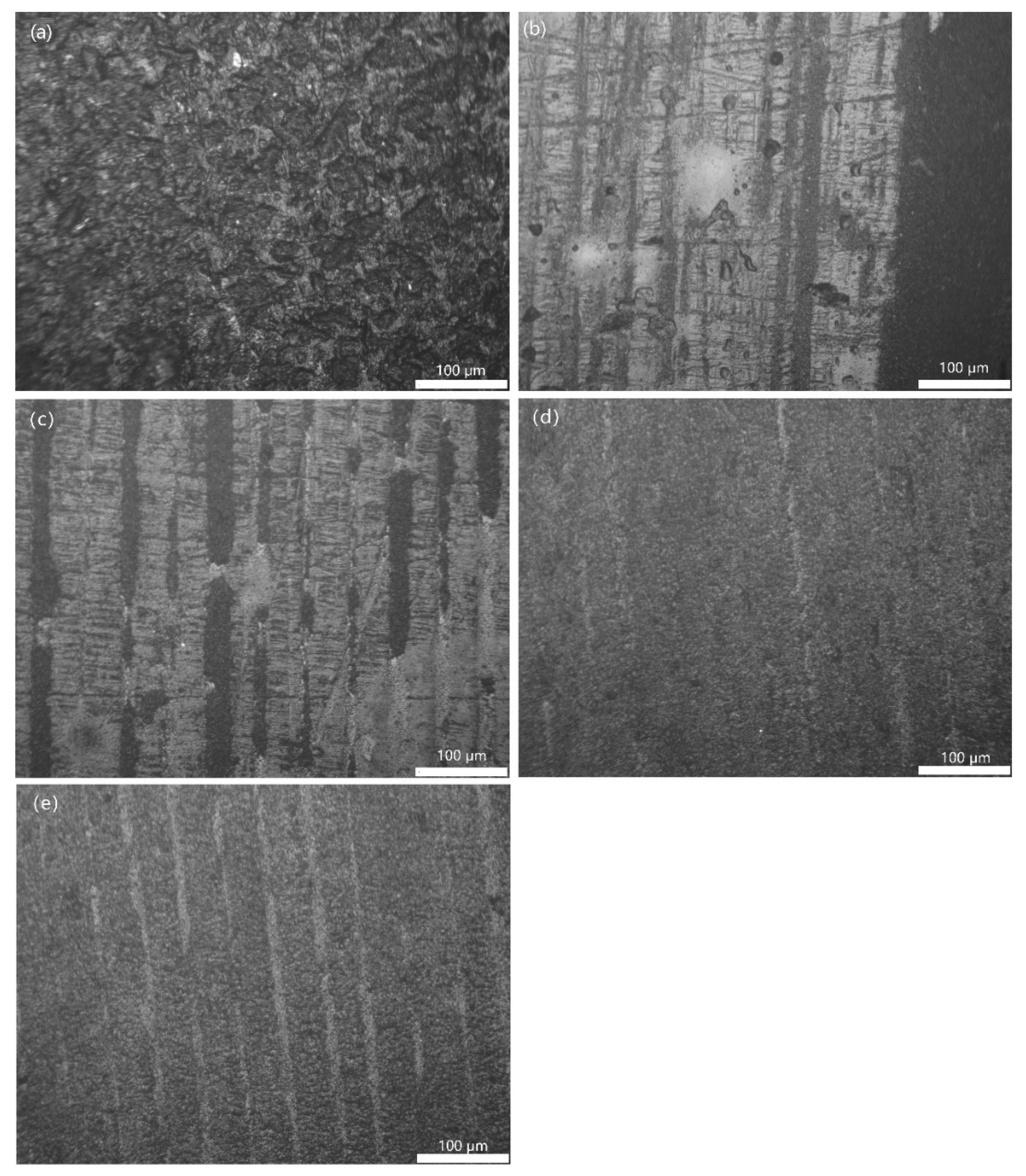 Coatings 10 00545 g006