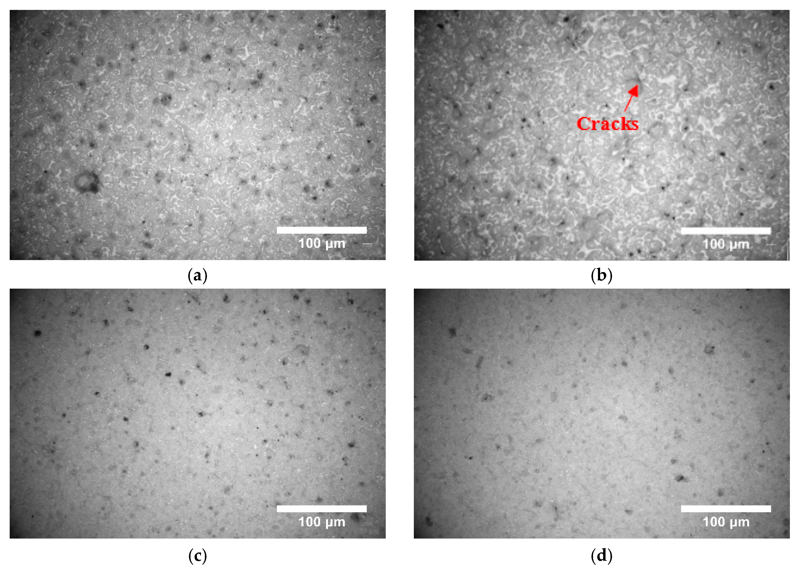 Coatings 10 00552 g006 Coatings 10 00552 g006
