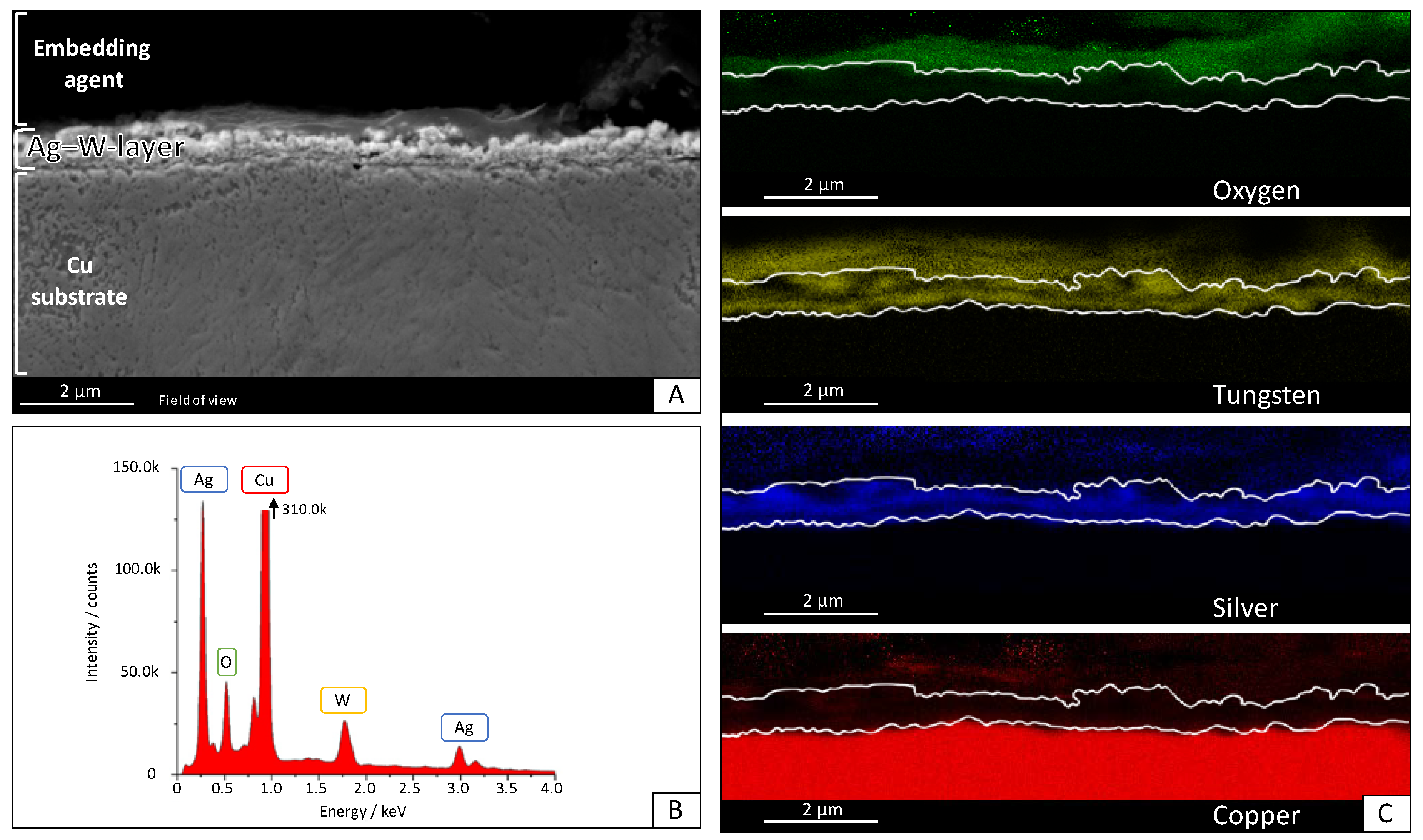 Coatings 10 00553 g004