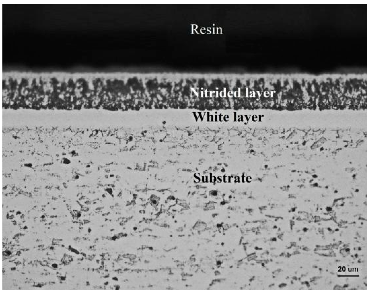 Coatings 10 00554 g003