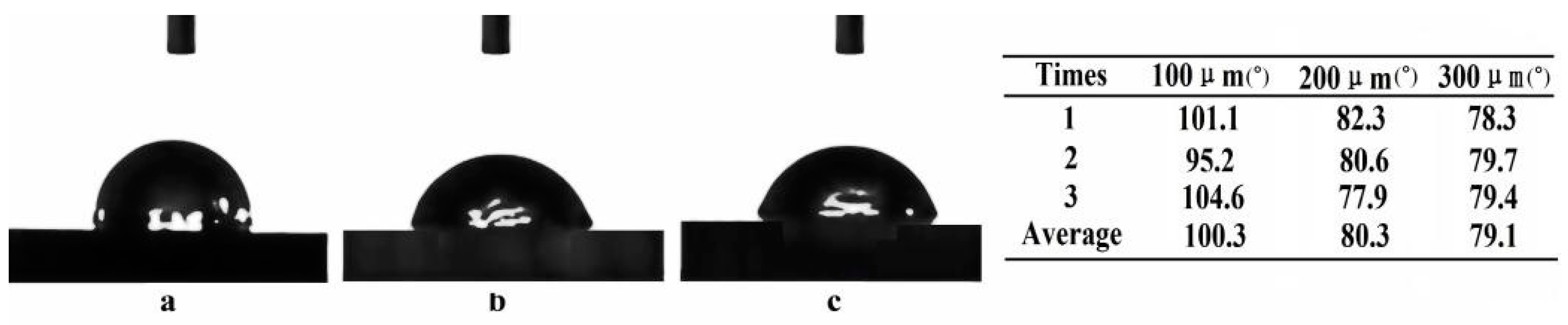 Coatings 10 00554 g006