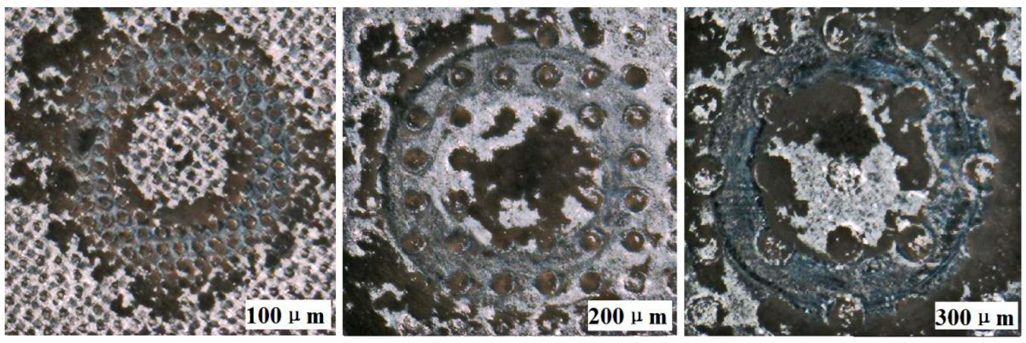 Coatings 10 00554 g015