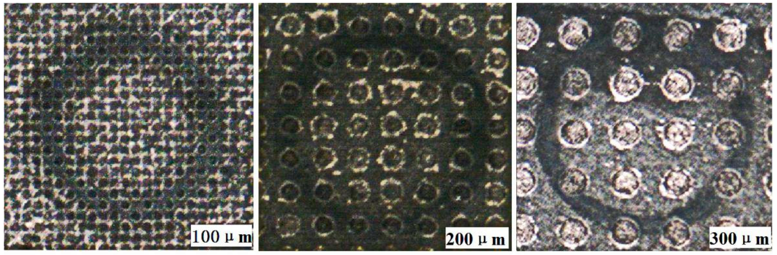 Coatings 10 00554 g016