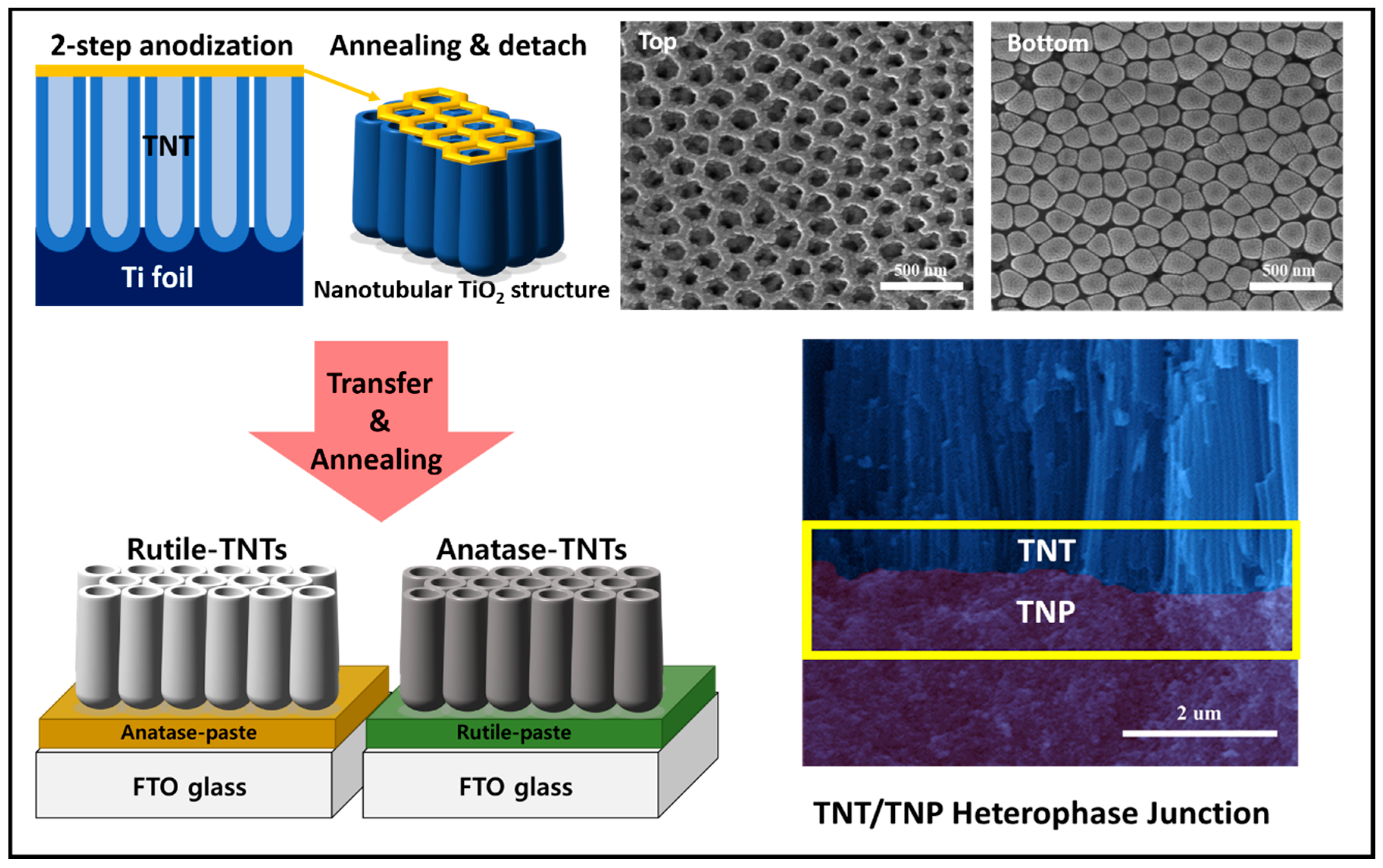 Coatings 10 00557 g001