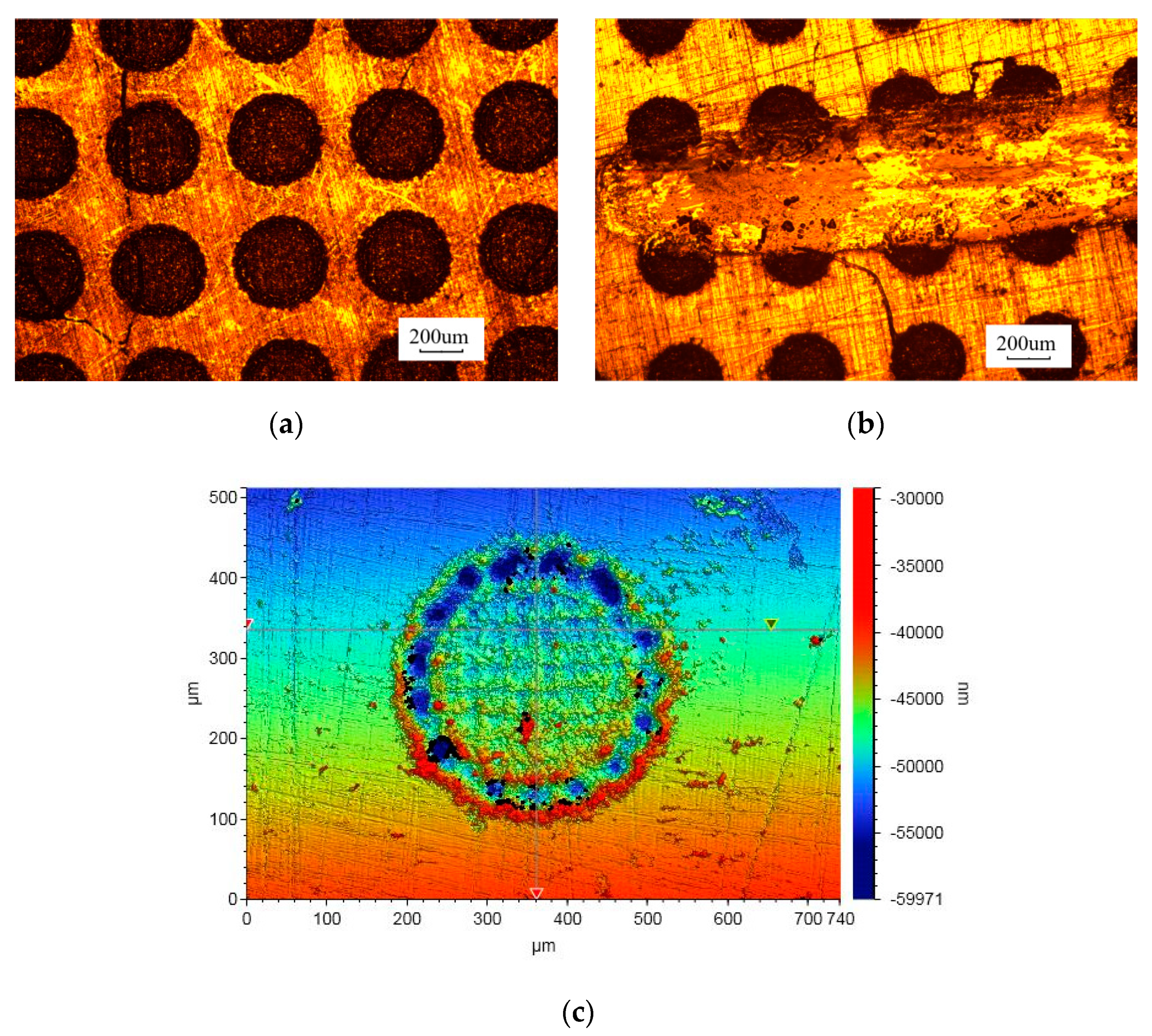 Coatings 10 00561 g001
