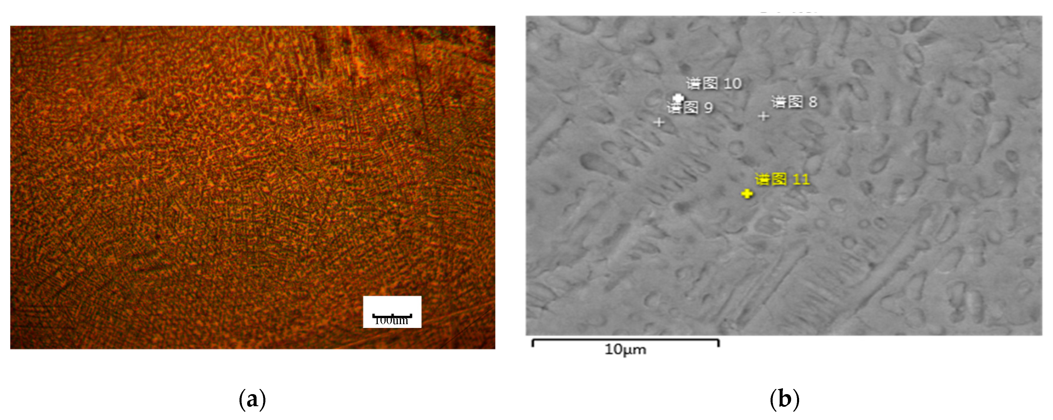 Coatings 10 00561 g003