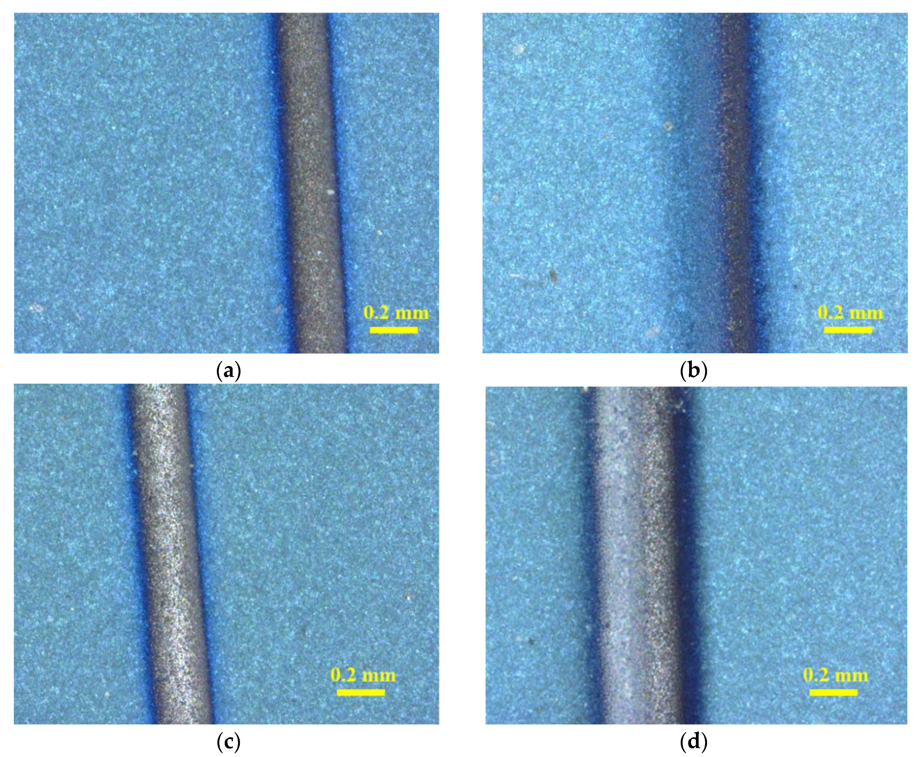 Coatings 10 00563 g004