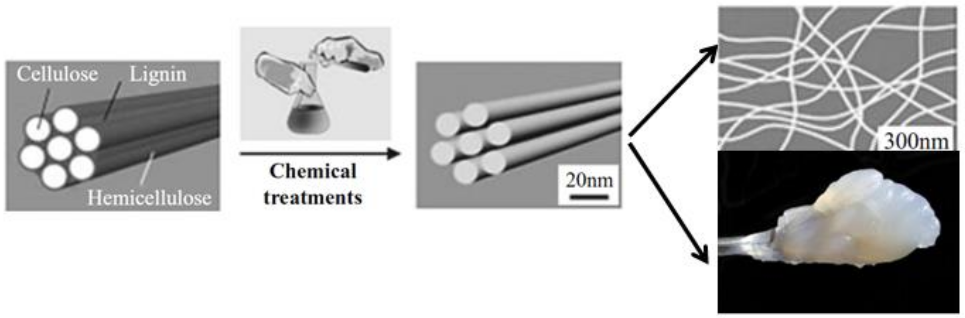 Coatings 10 00566 g003