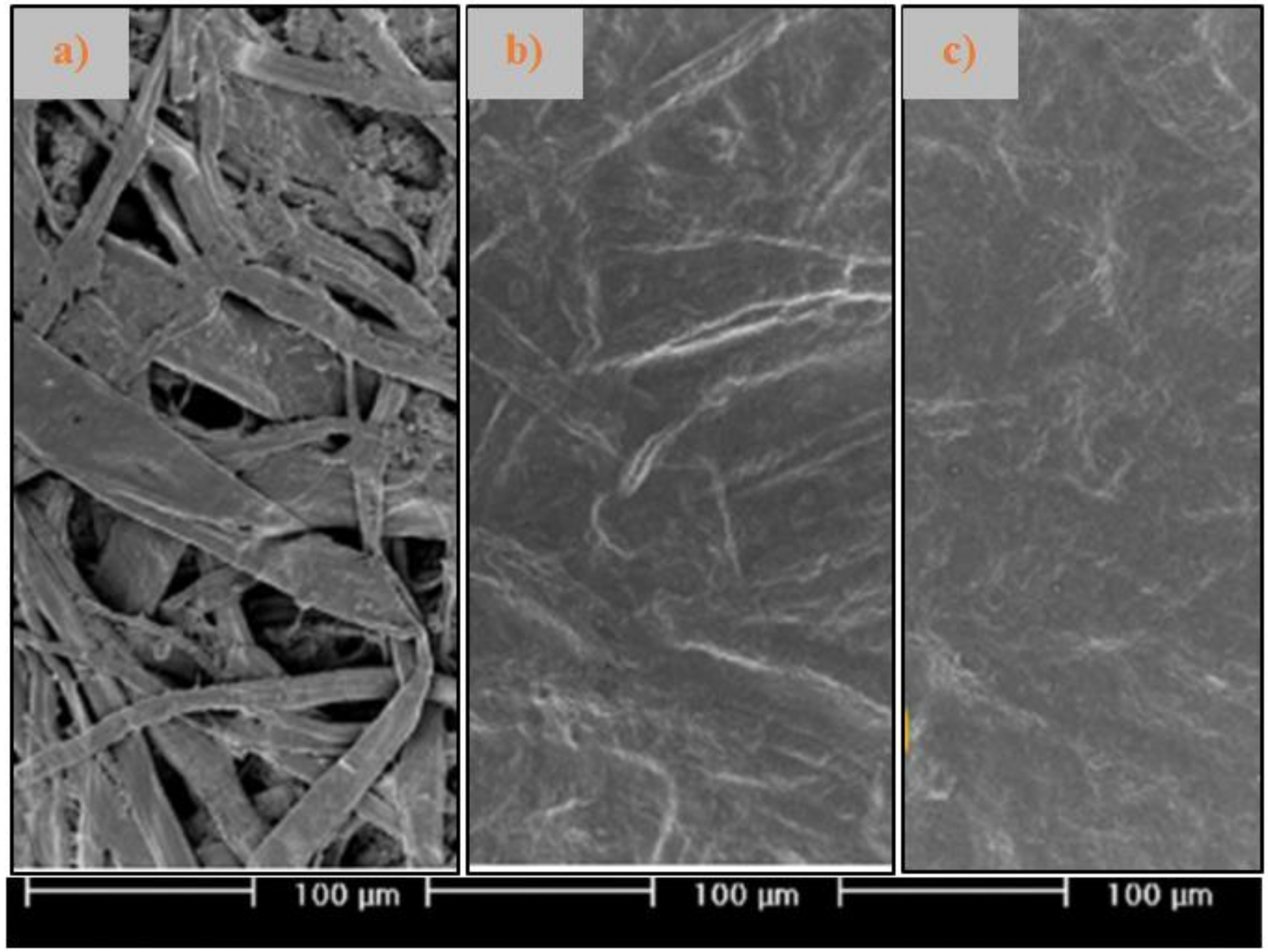 Coatings 10 00566 g004