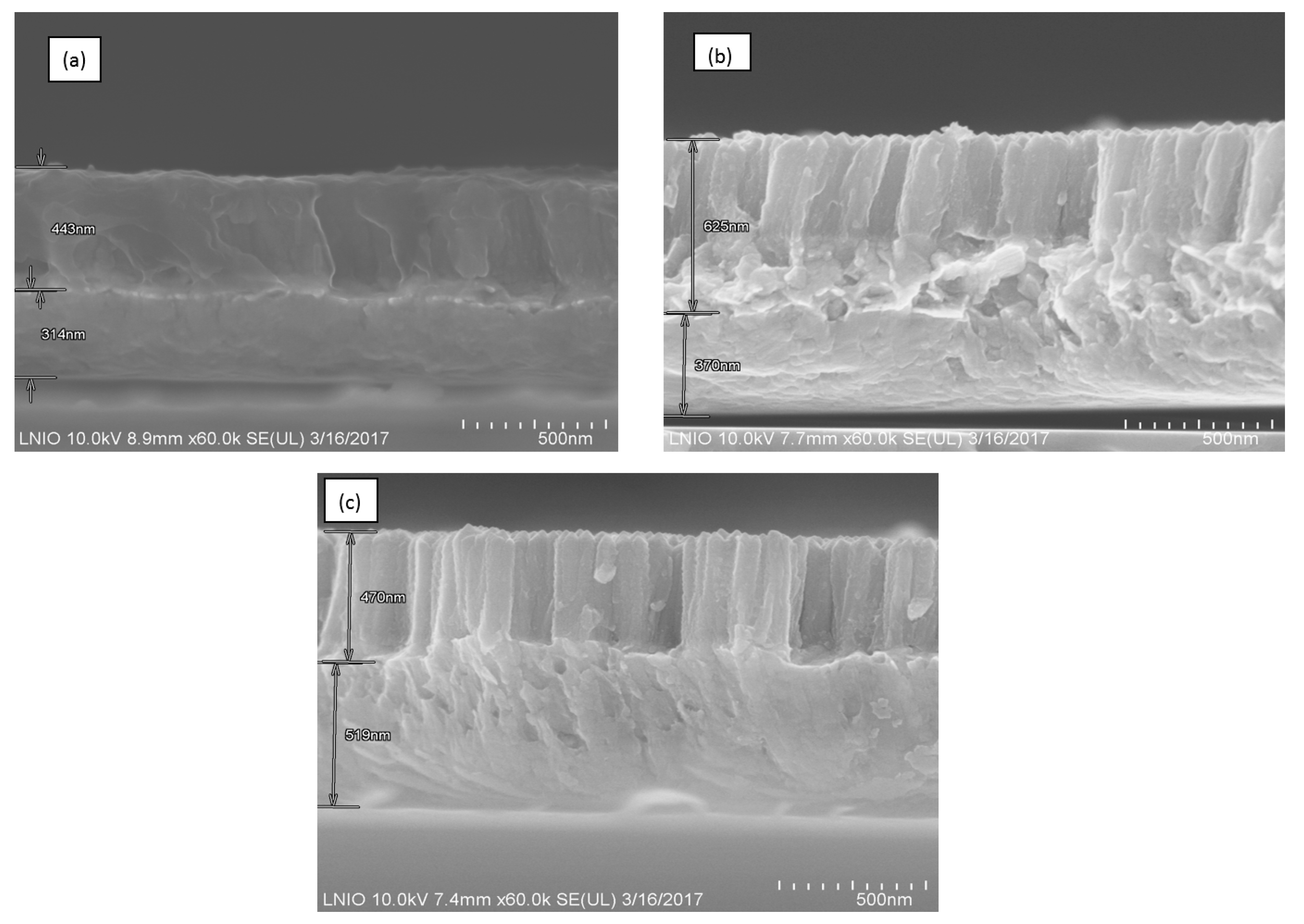 Coatings 10 00574 g002 Coatings 10 00574 g002