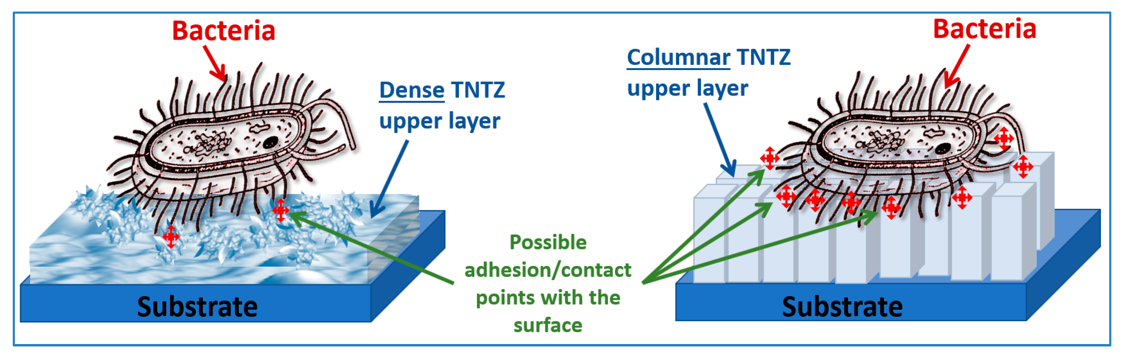 Coatings 10 00574 g006 Coatings 10 00574 g006