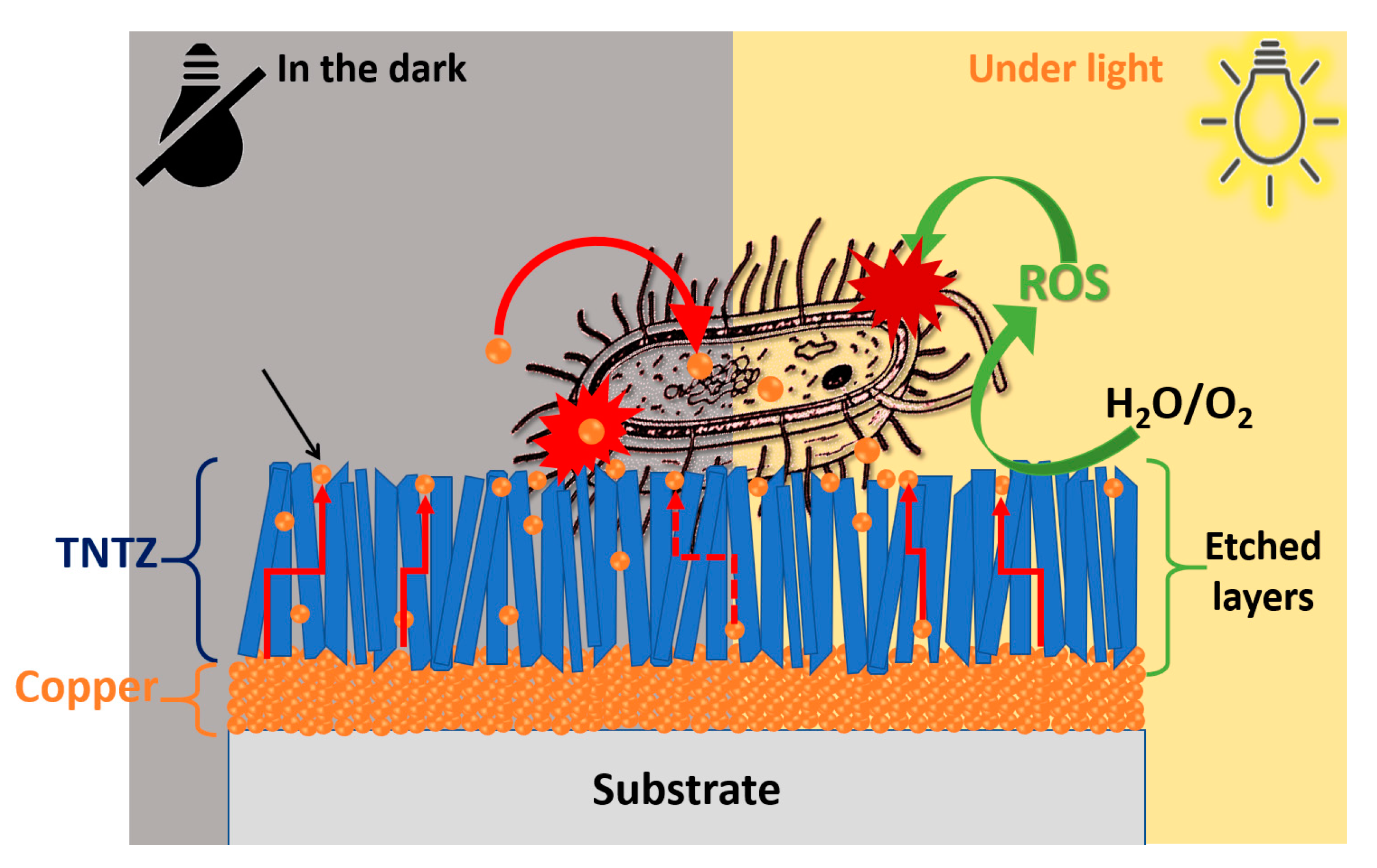 Coatings 10 00574 g011 Coatings 10 00574 g011