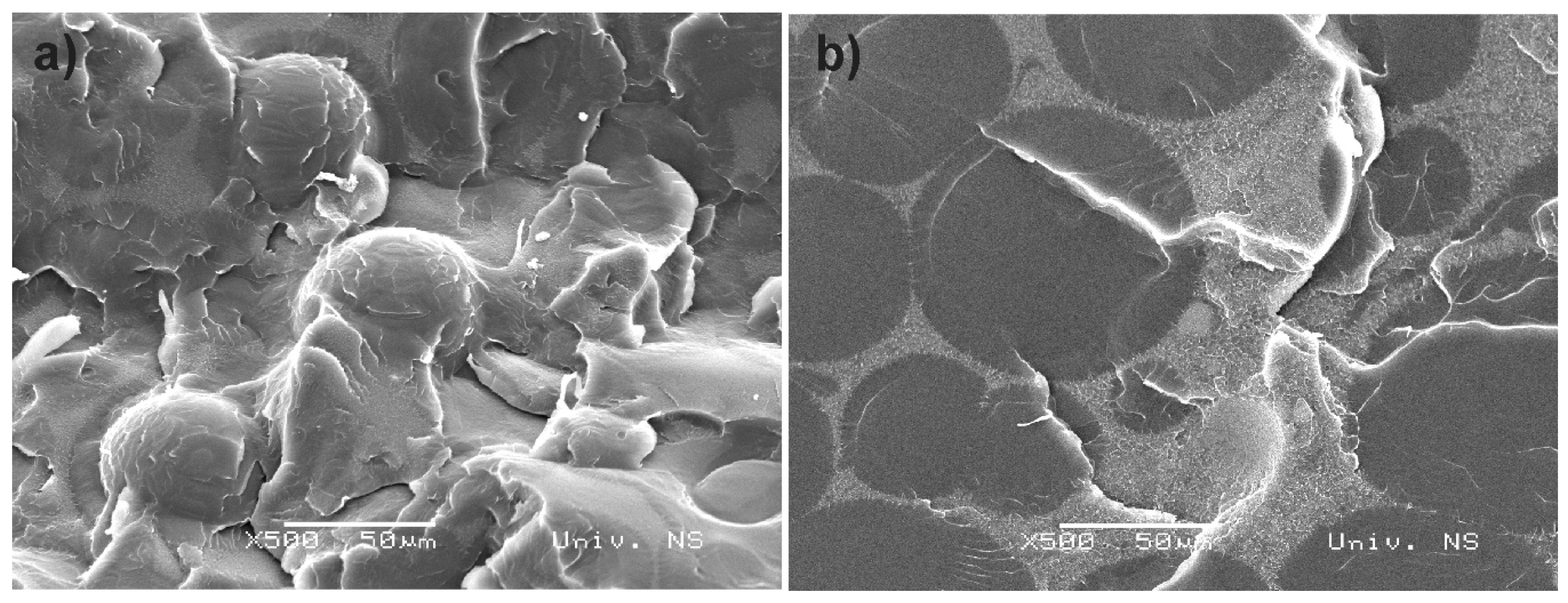 Coatings 10 00583 g003 Coatings 10 00583 g003