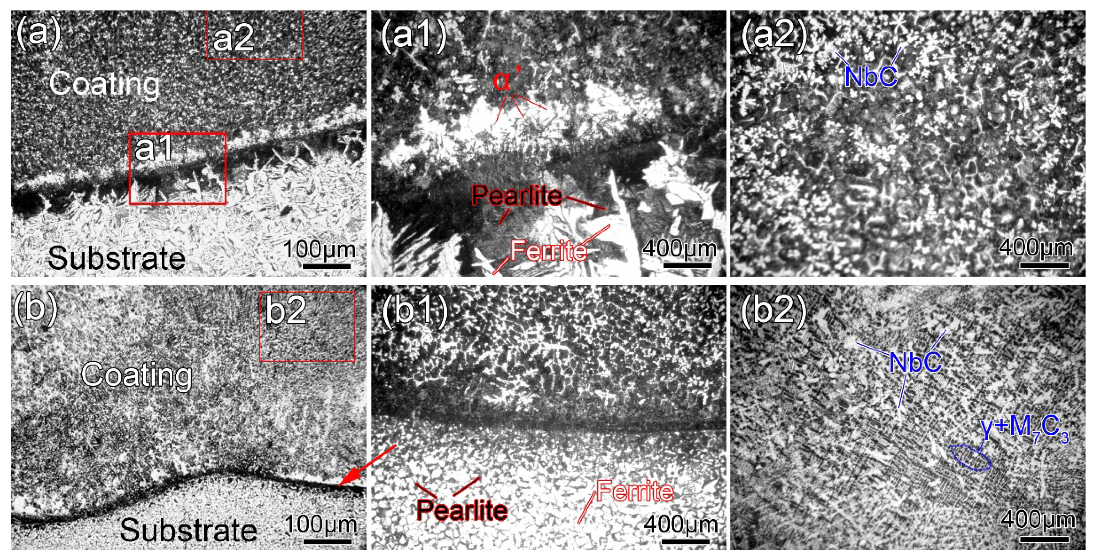 Coatings 10 00585 g002