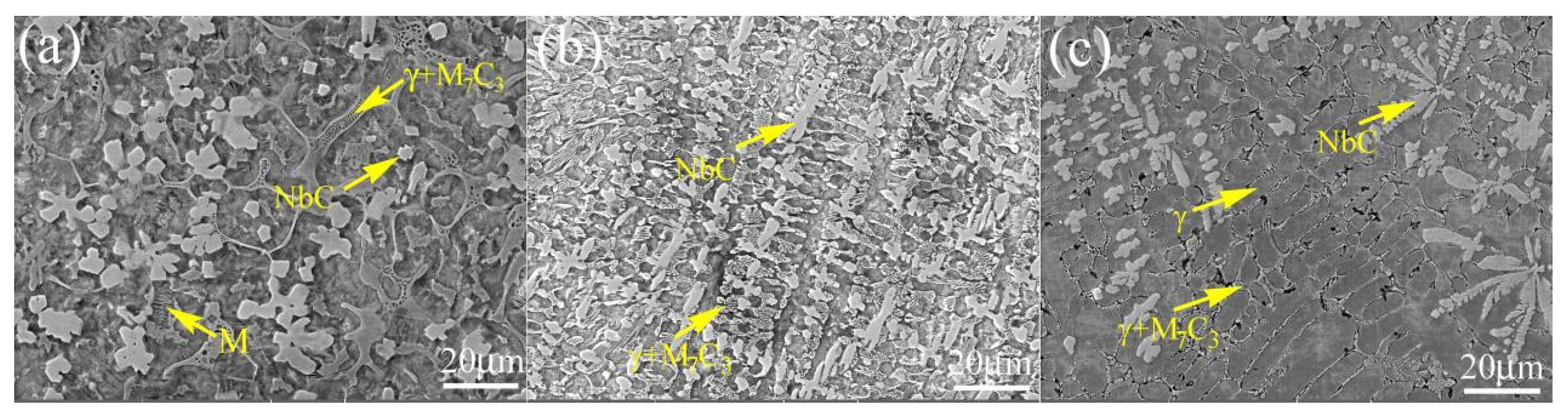 Coatings 10 00585 g004