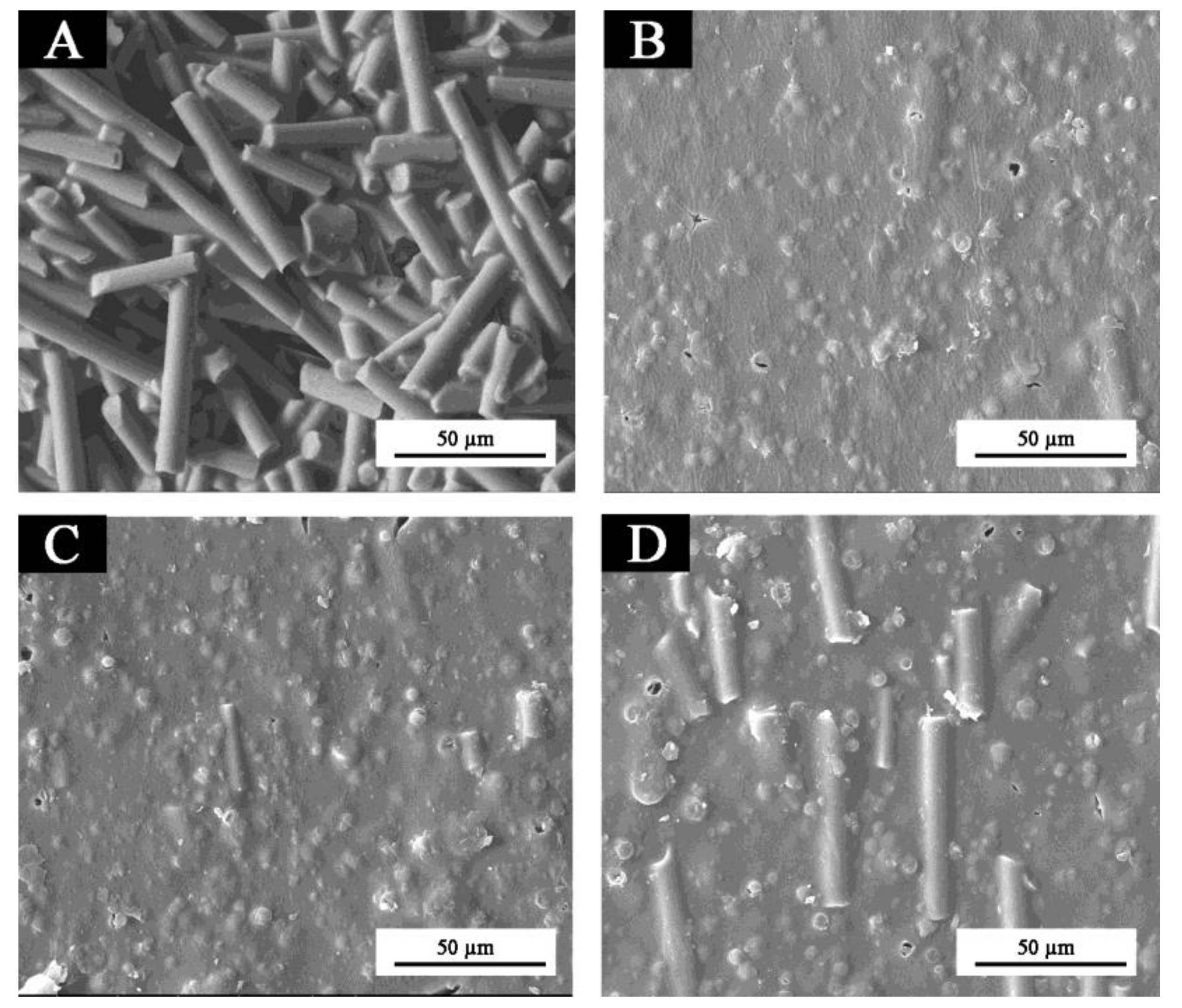 Coatings 10 00588 g004