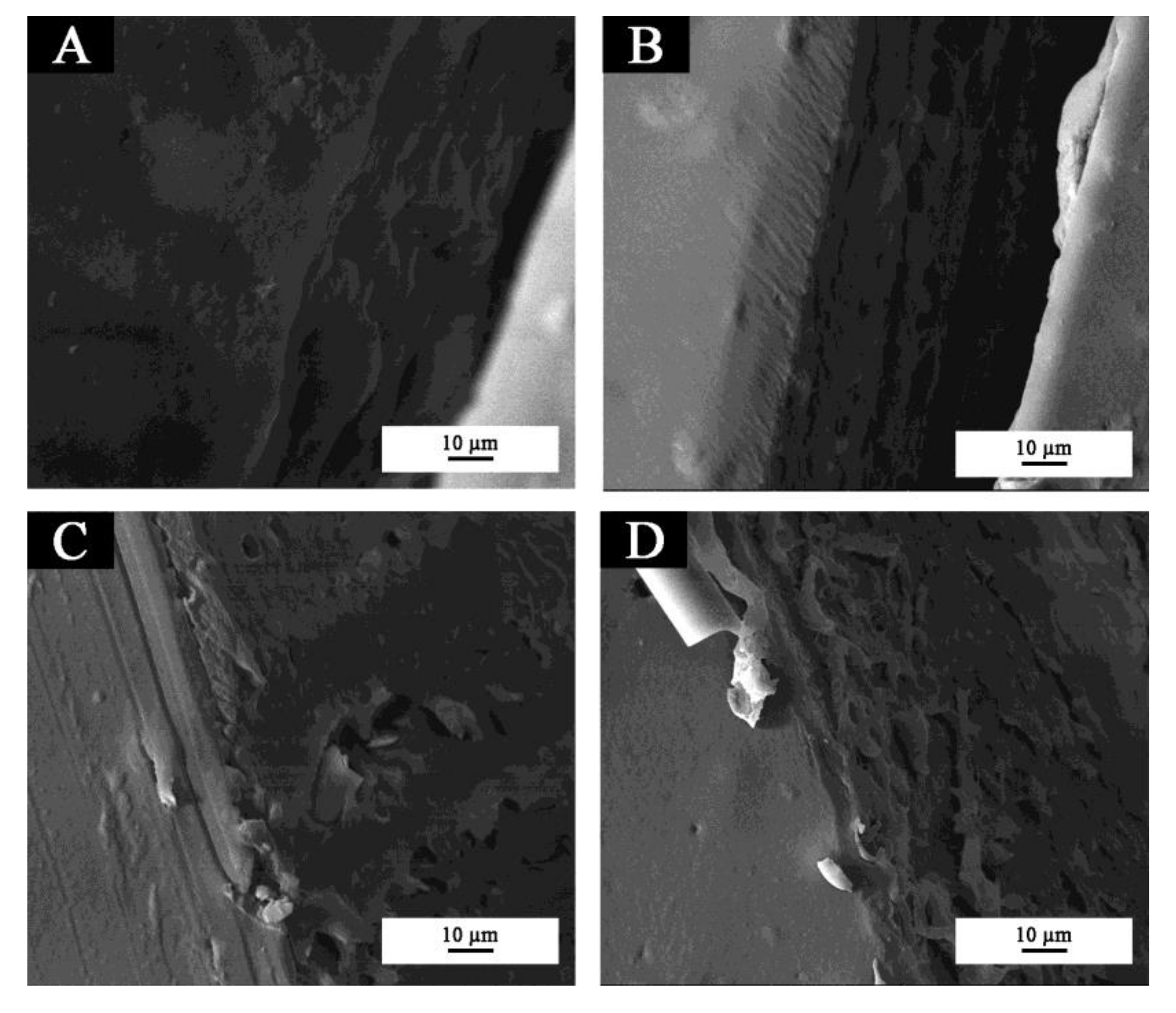 Coatings 10 00588 g005