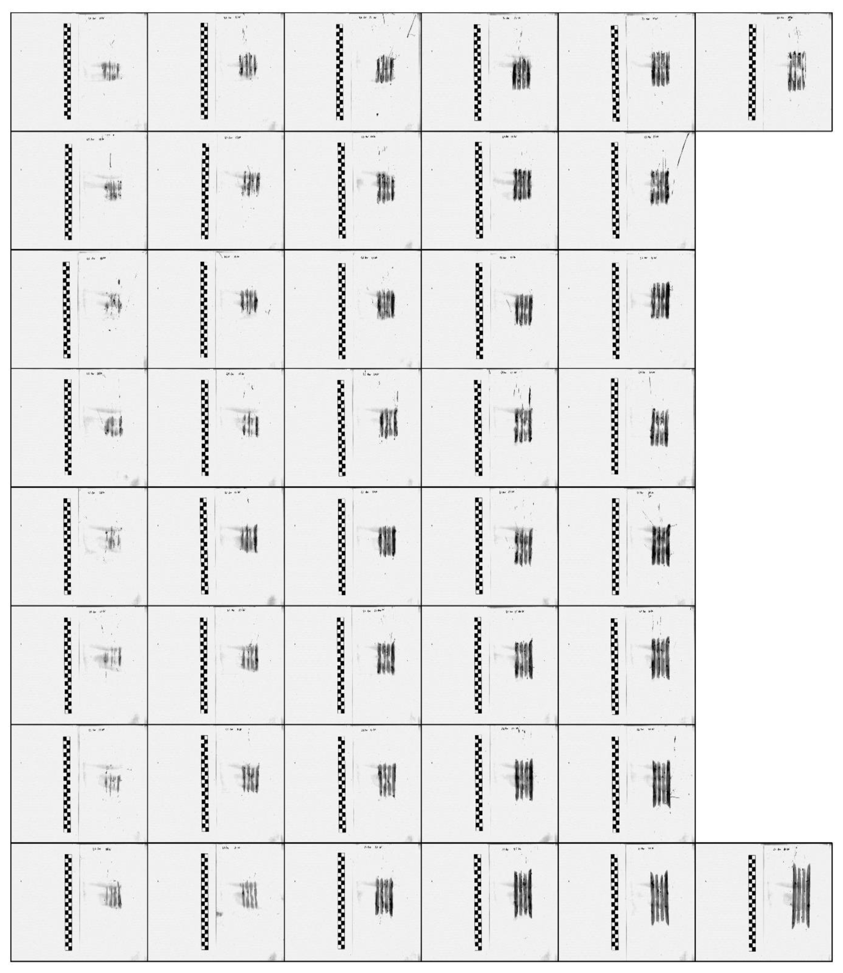 Coatings 10 00591 g011 Coatings 10 00591 g011