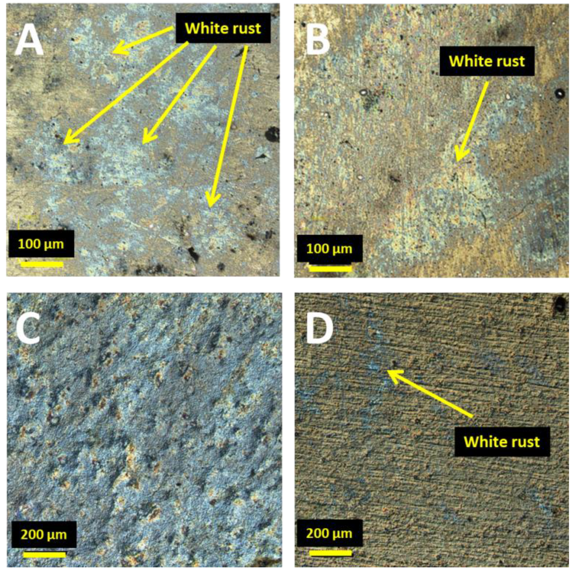 Coatings 10 00594 g002