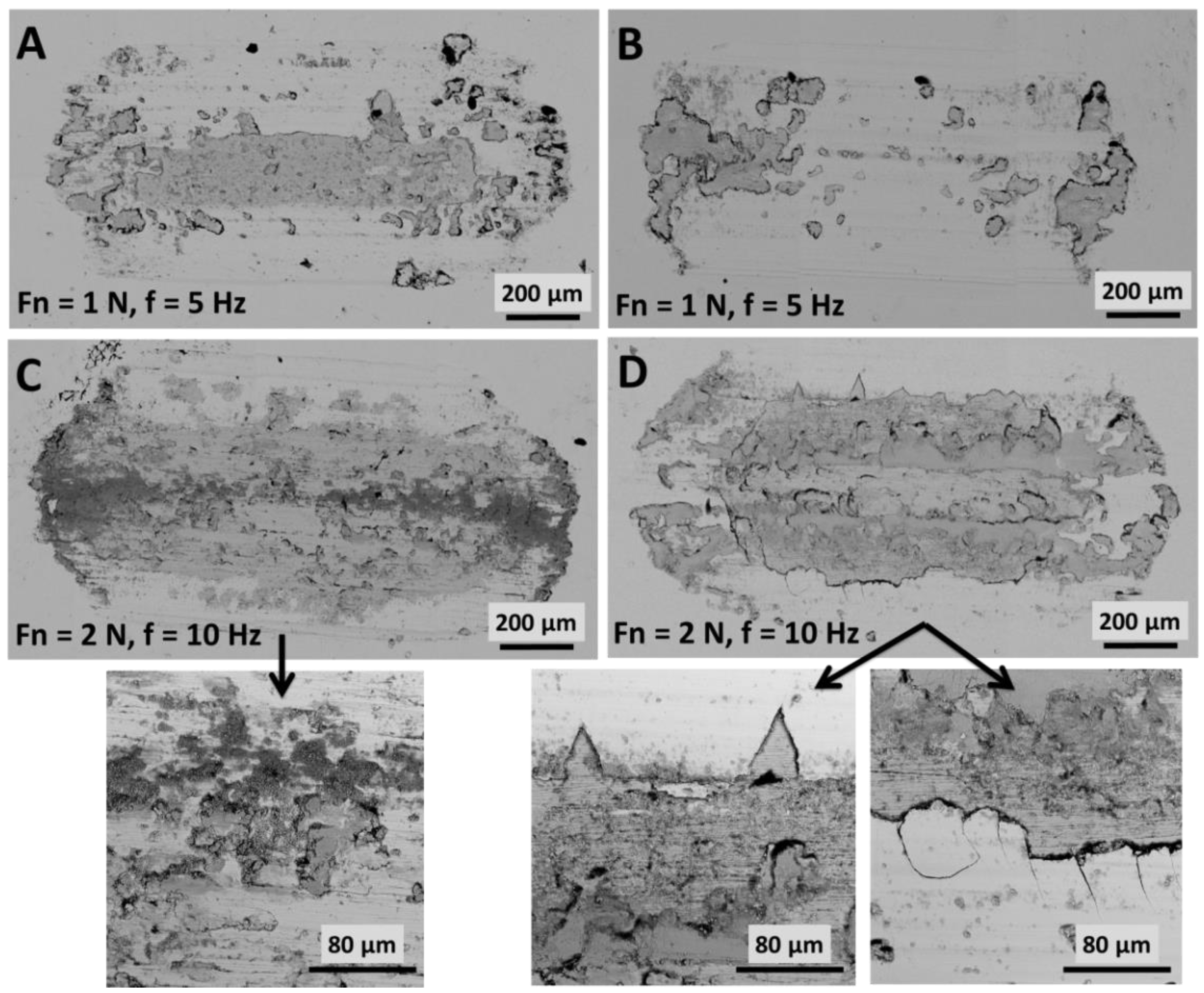 Coatings 10 00594 g005