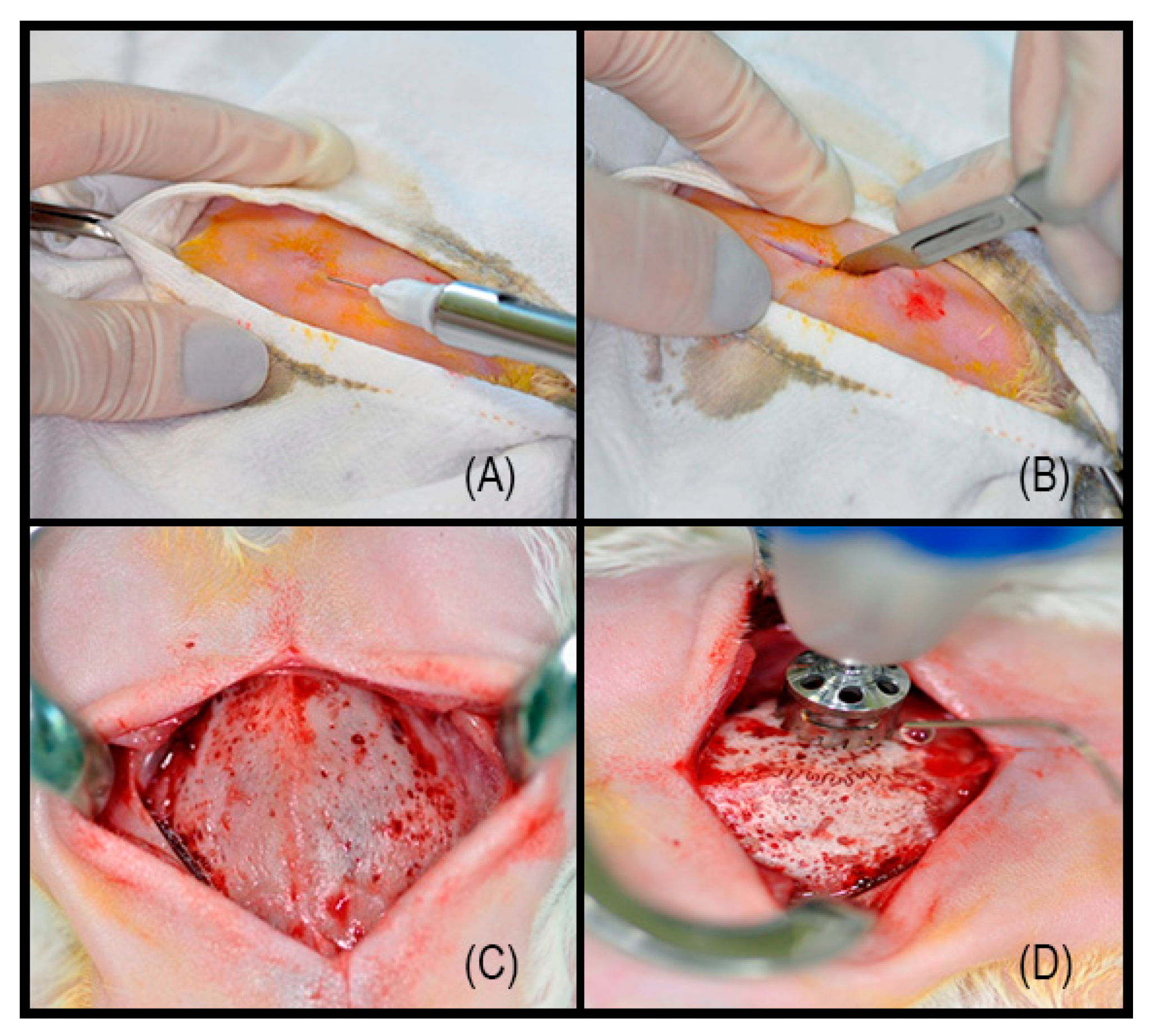 Coatings 10 00595 g002