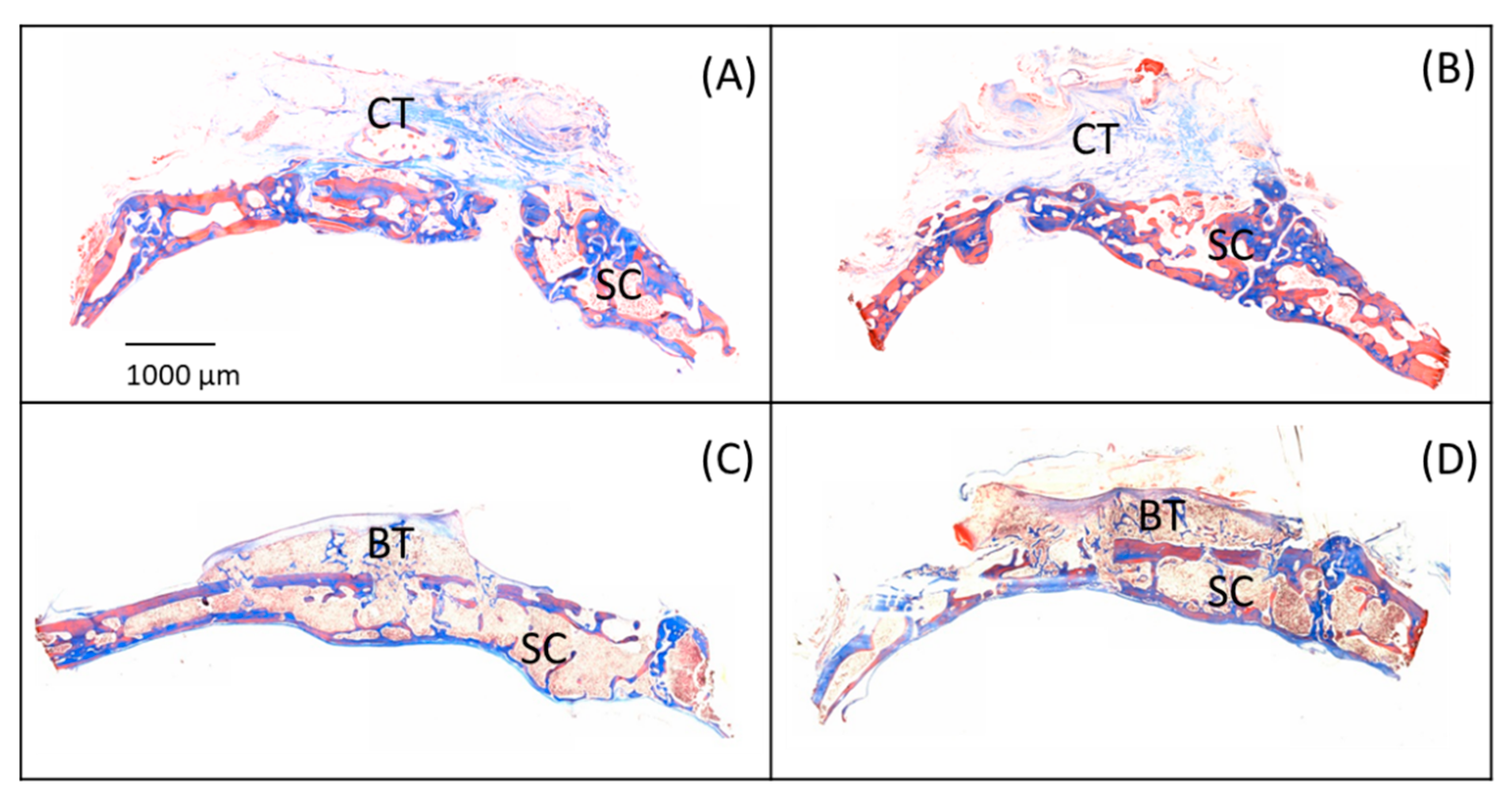 Coatings 10 00595 g006
