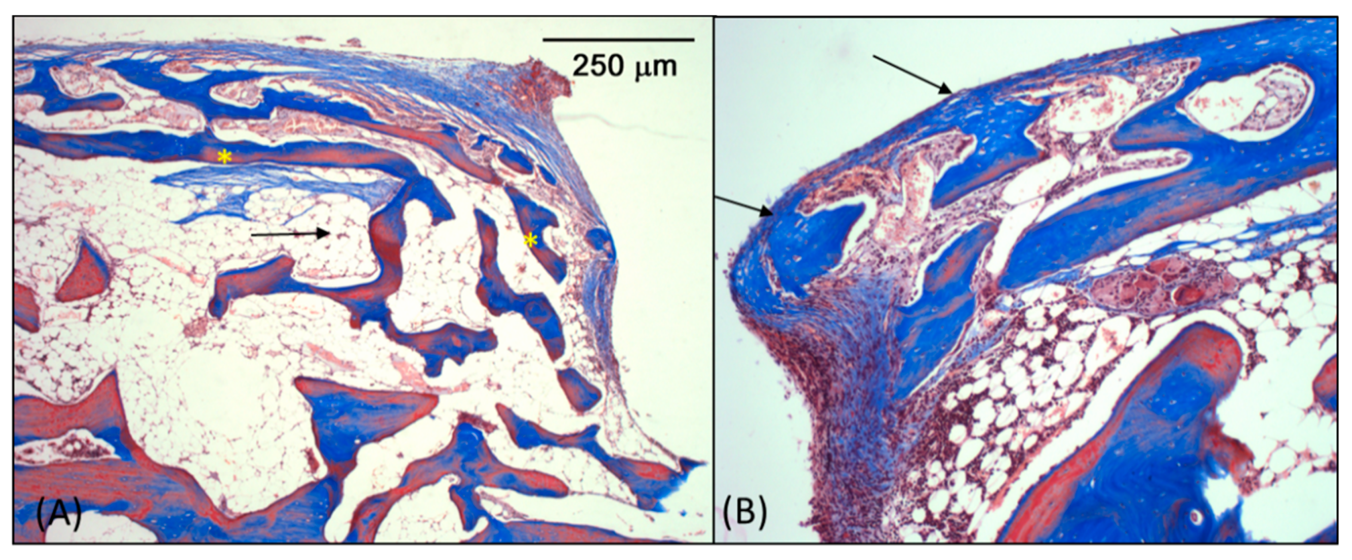 Coatings 10 00595 g009